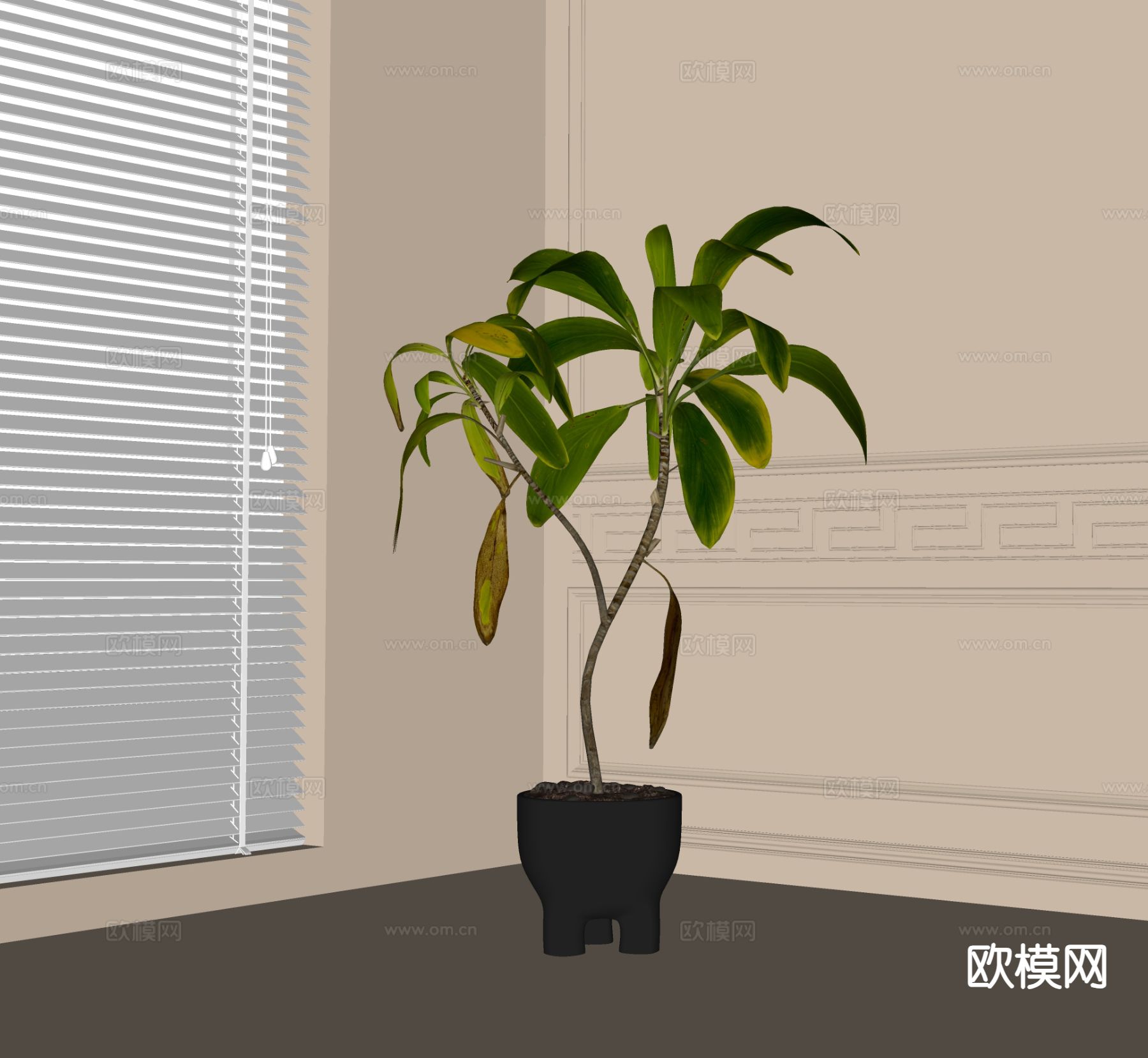 现代盆栽盆景 绿植su模型