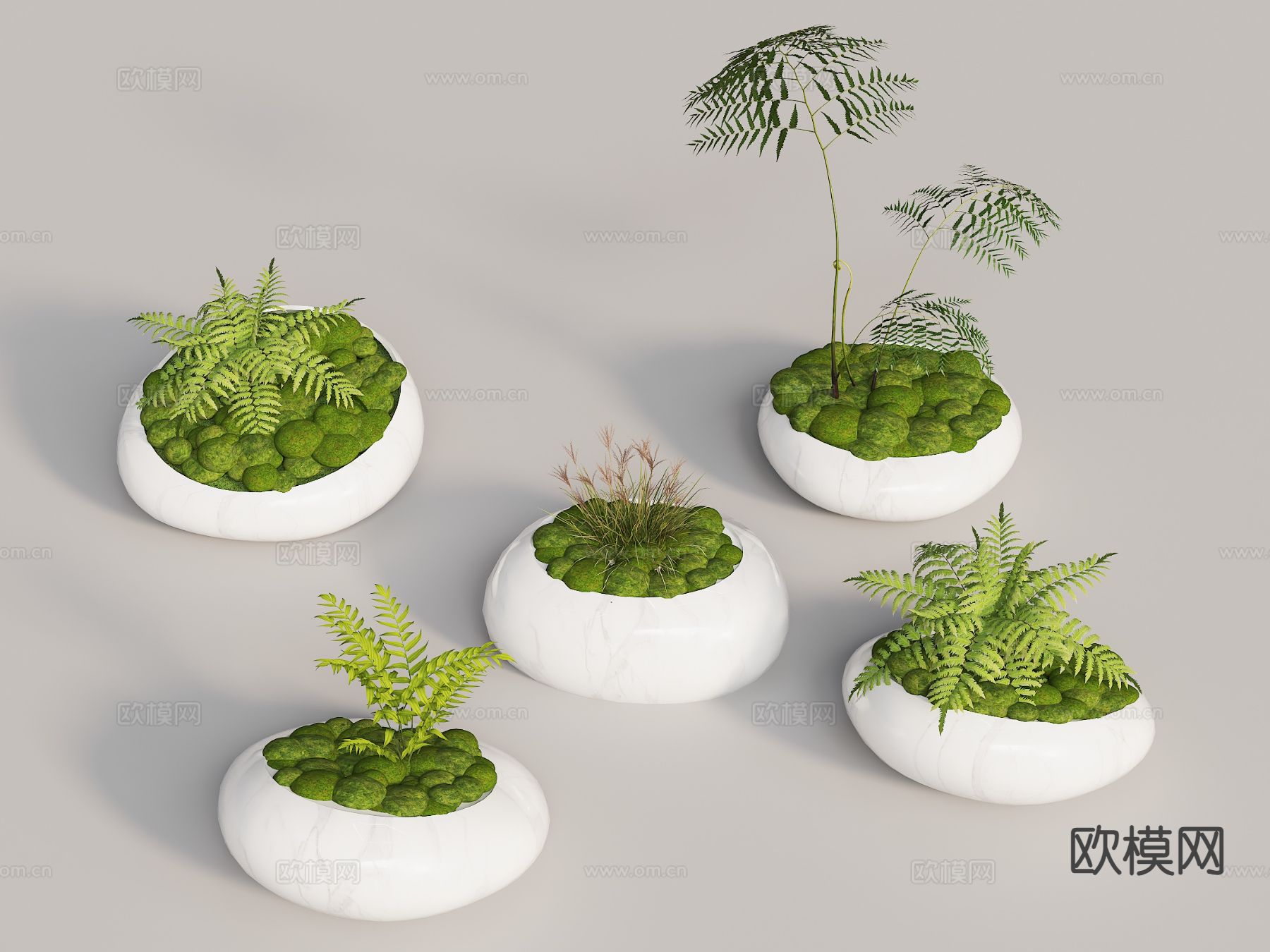 盆栽 苔藓盆景 植物摆件3d模型