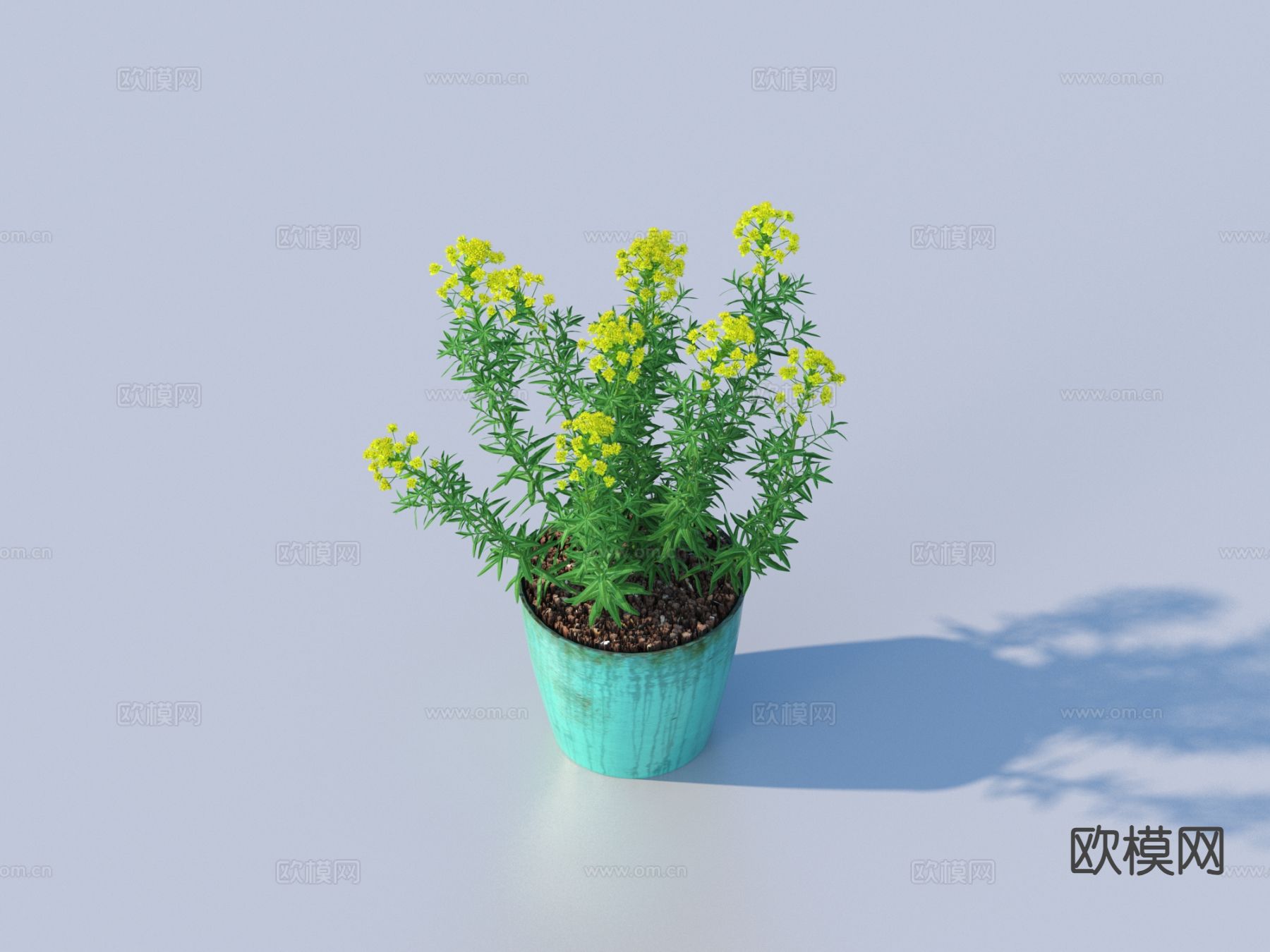 花盆 盆栽 绿植3d模型