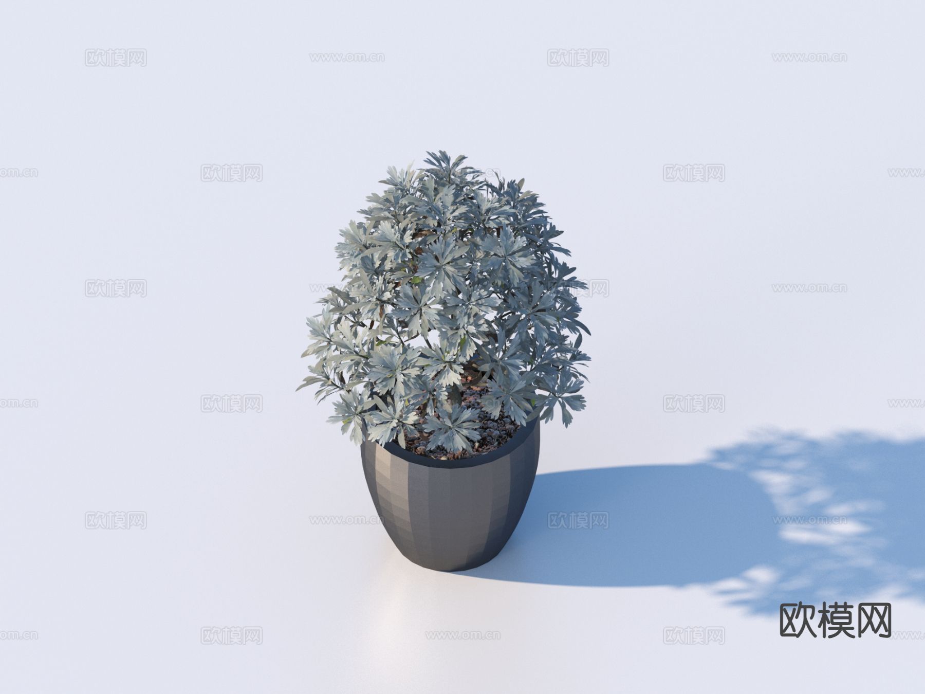 花盆 盆景 绿植 植物3d模型