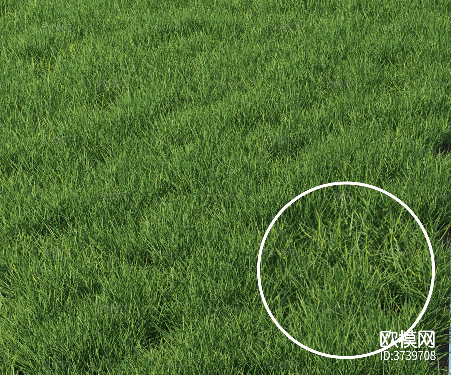 草材质下载