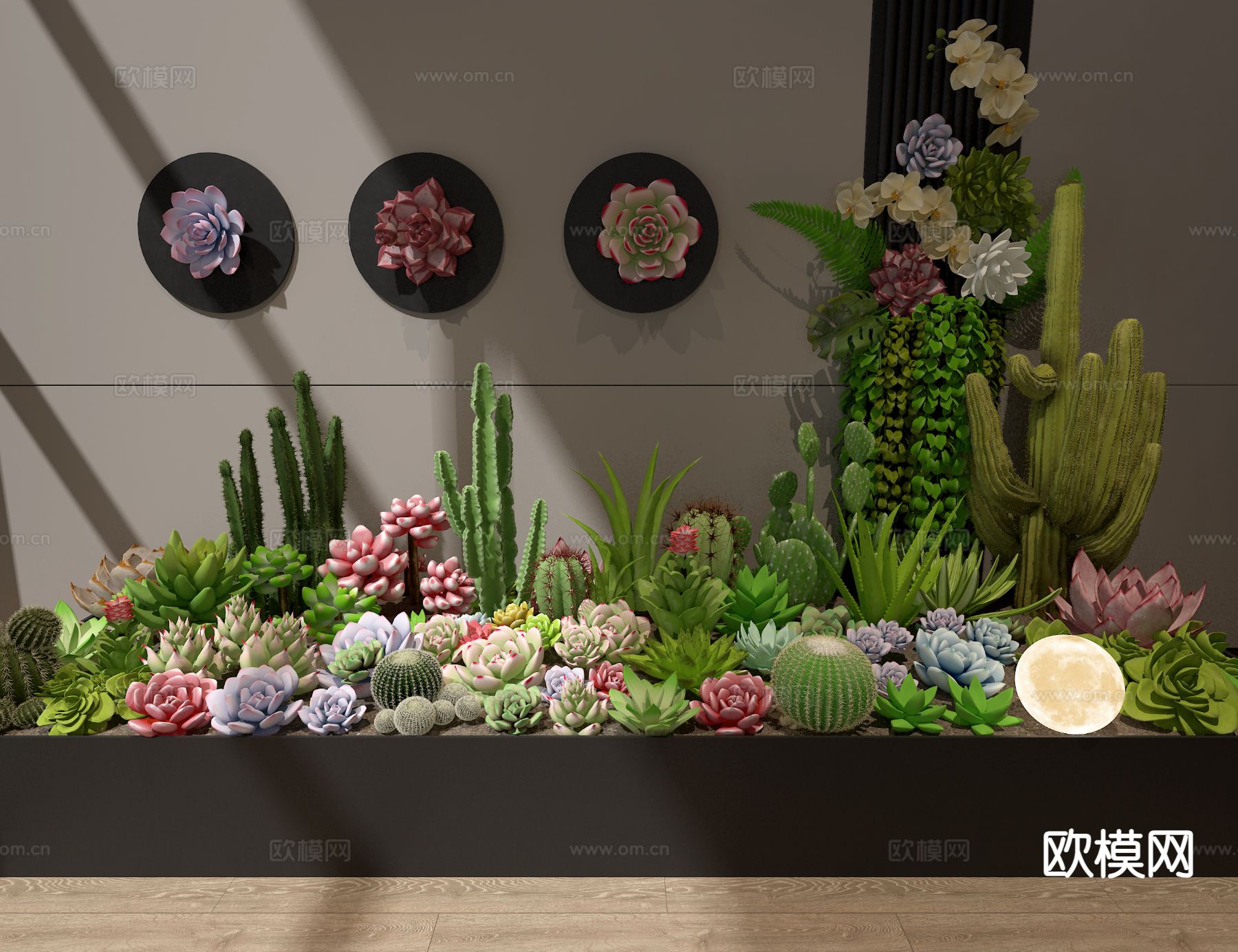 多肉盆栽 植物堆3d模型