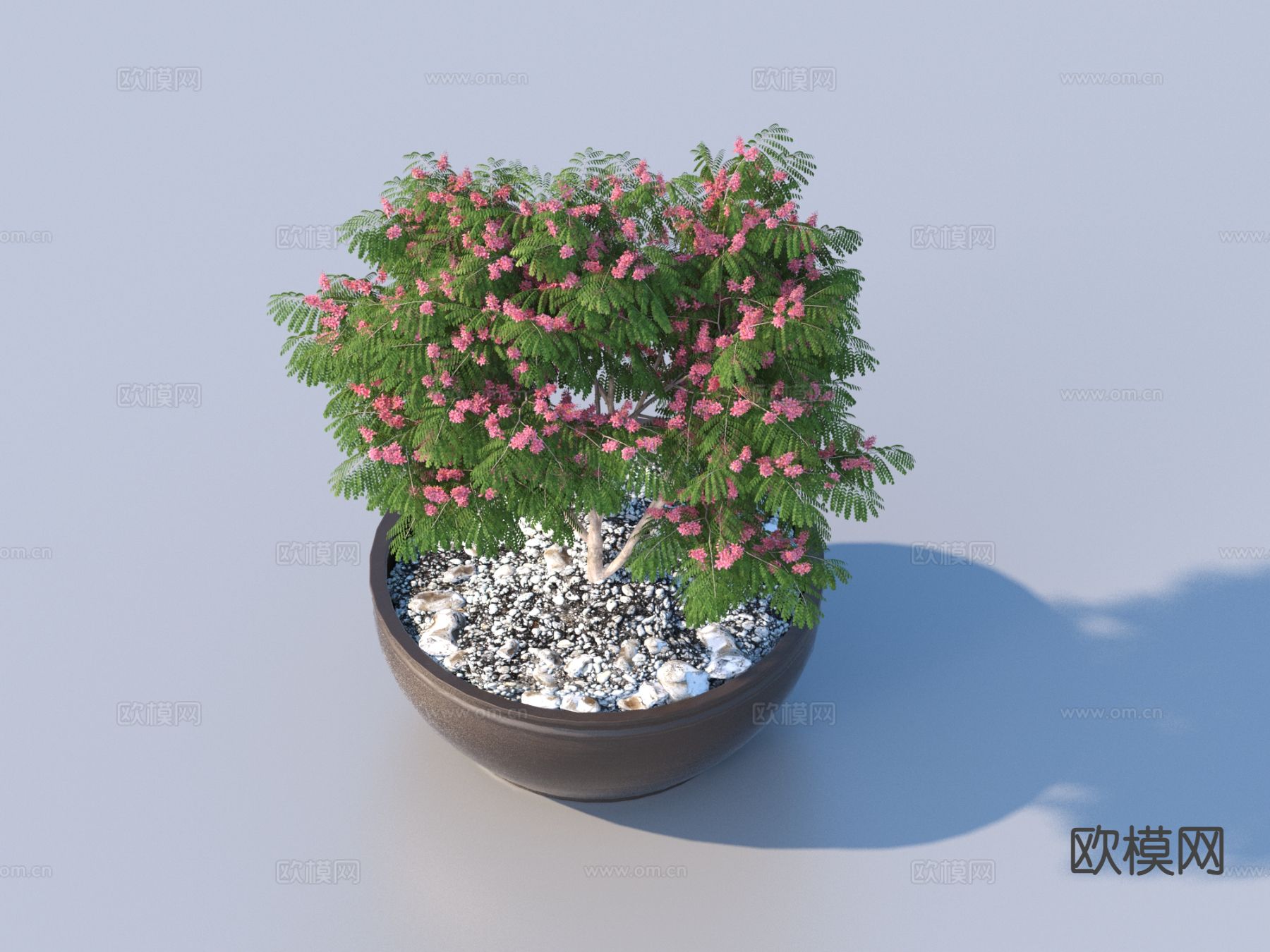 花盆 盆栽 绿植3d模型