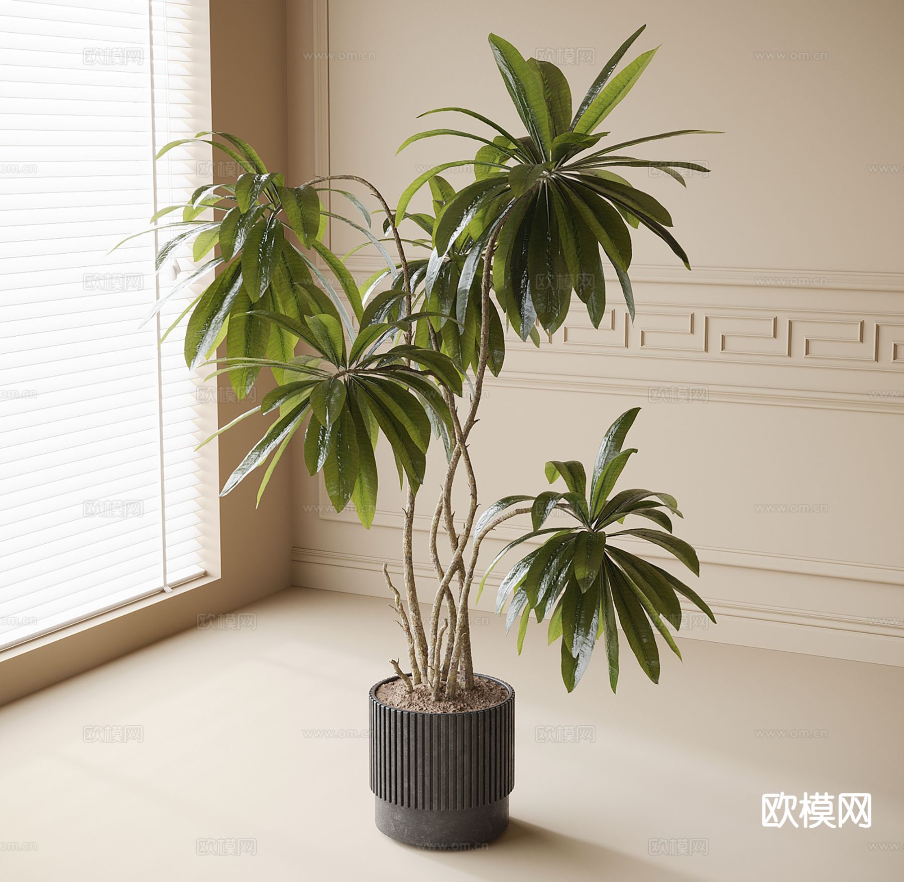 现代盆栽 盆景 绿植su模型