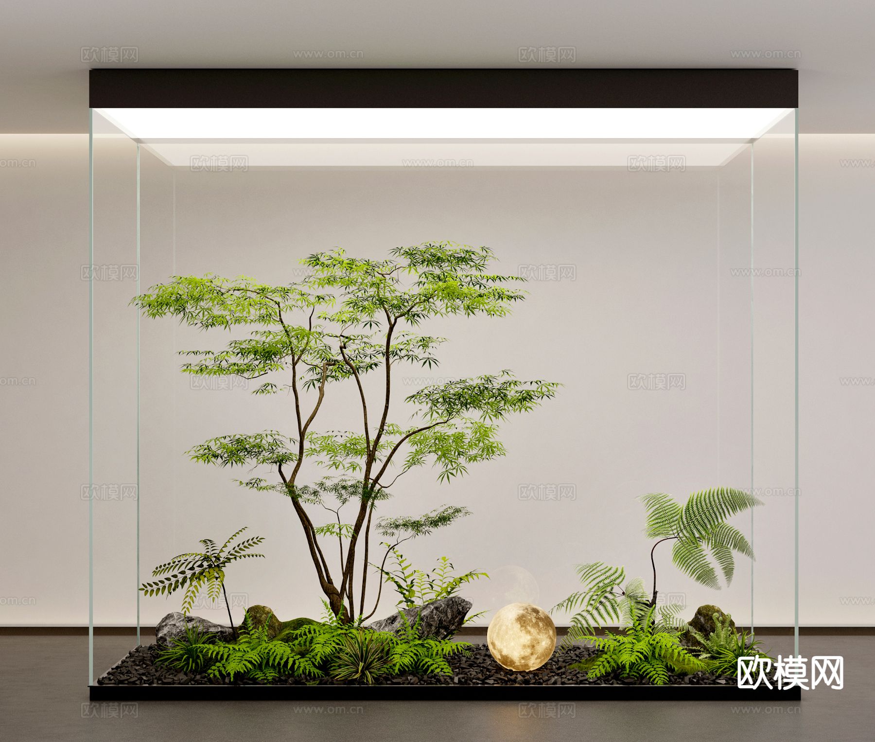 室内景观 绿植造景3d模型