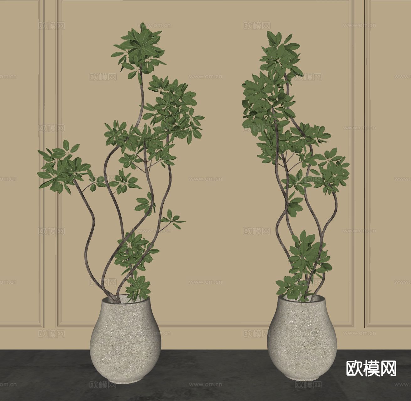 现代绿植盆栽su模型