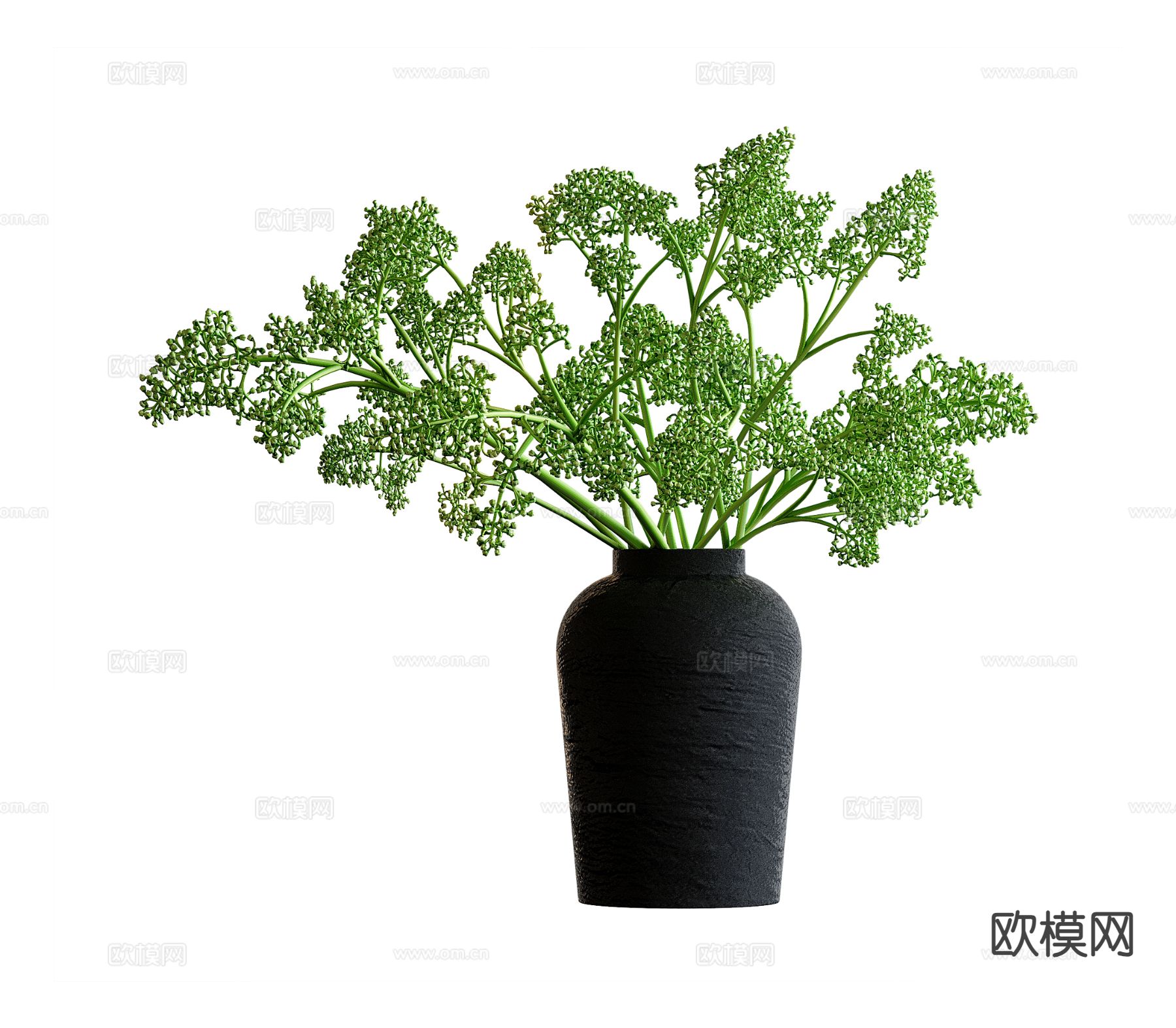 水培绿植 水生植物3d模型