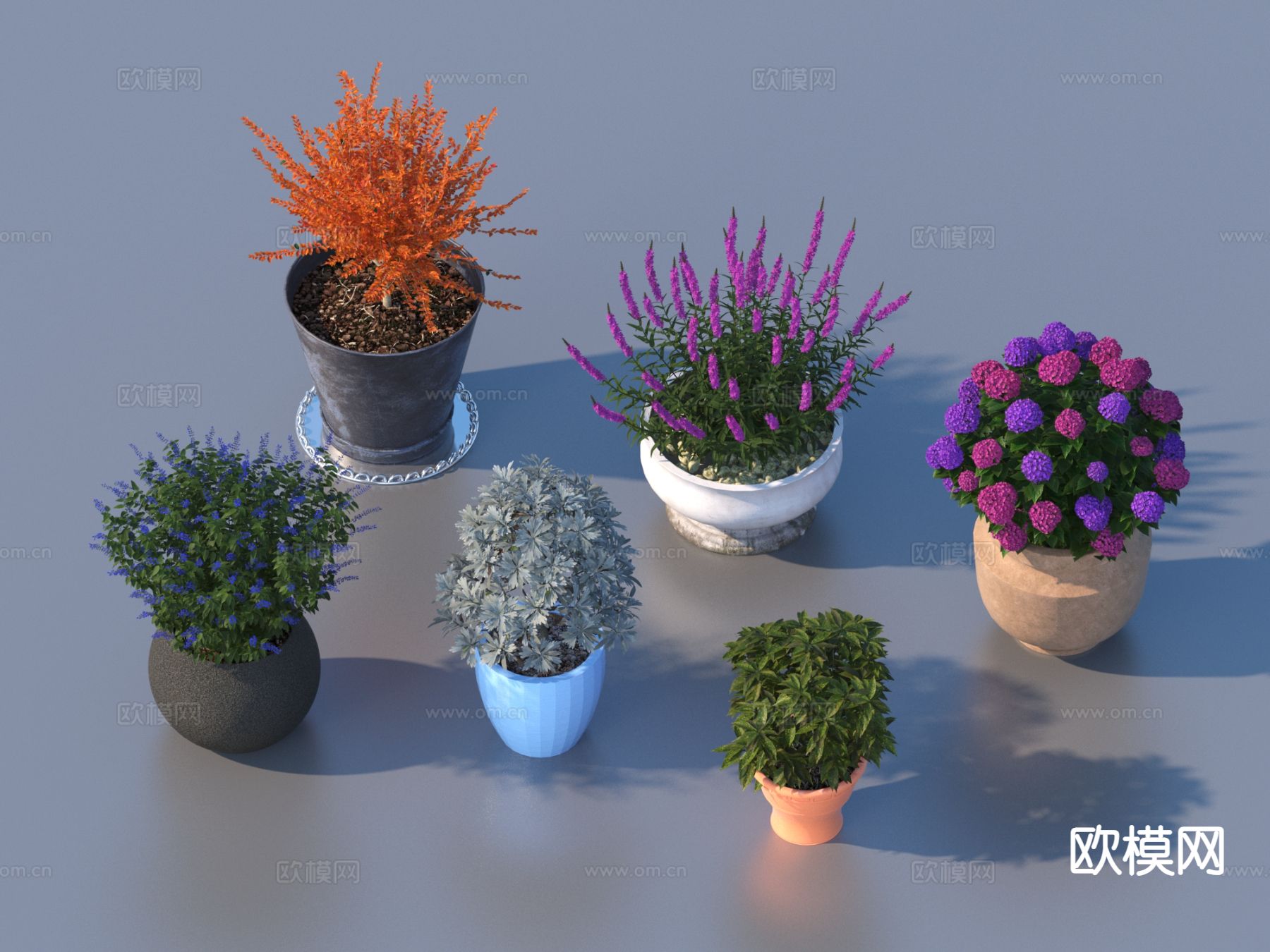 花盆 盆栽 绿植 植物3d模型