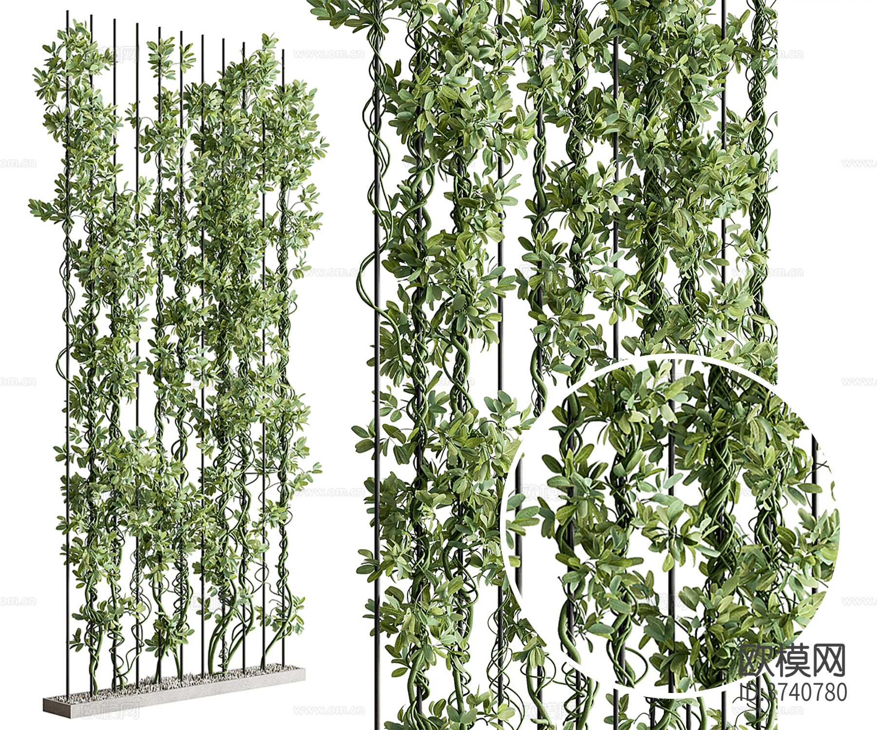 垂柳藤曼材质下载