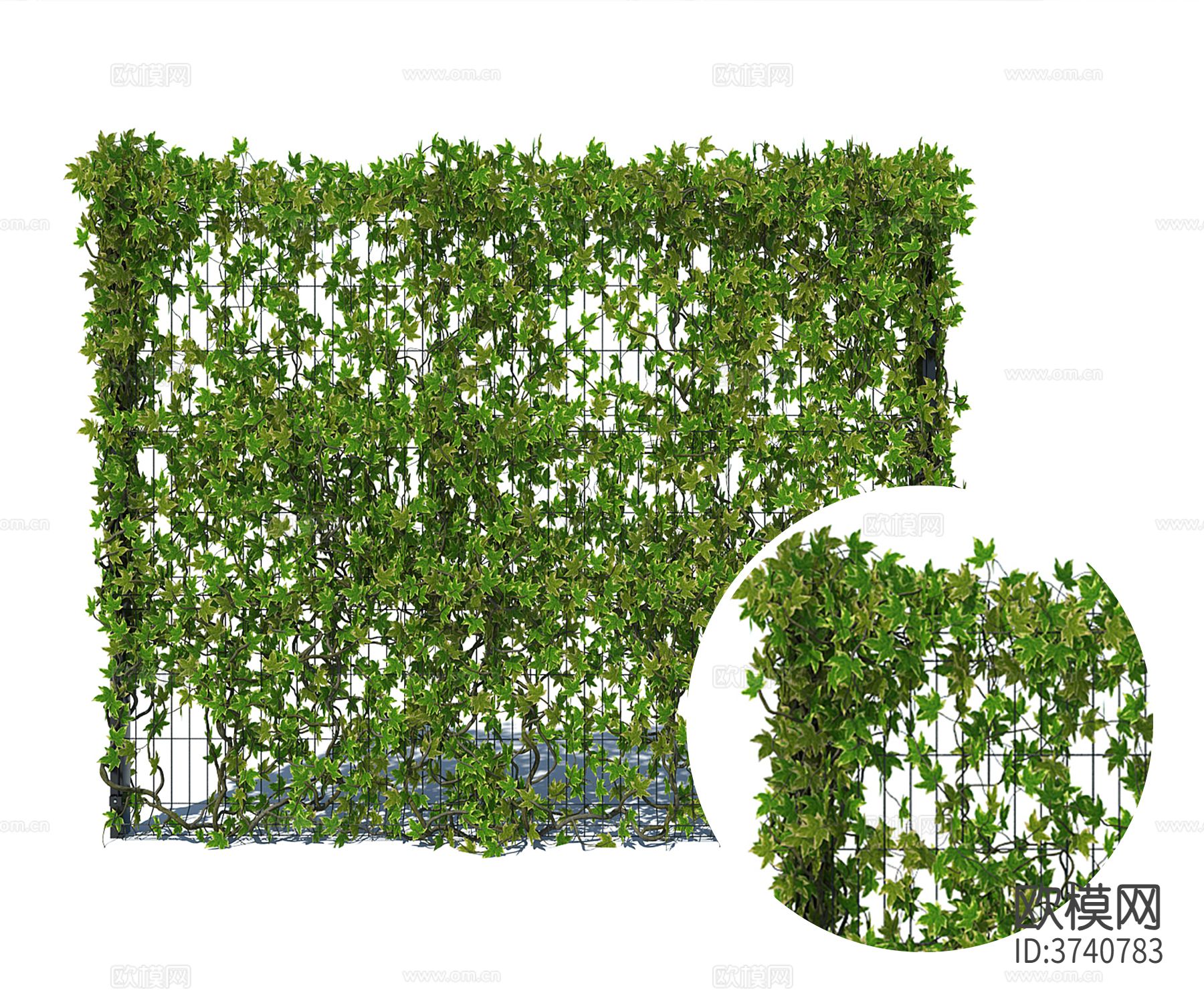 垂柳藤曼材质下载