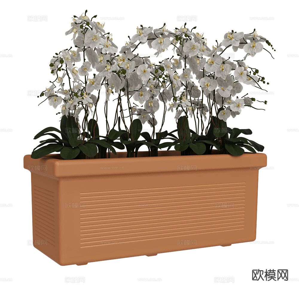 Serralunga蝴蝶兰 花槽3d模型