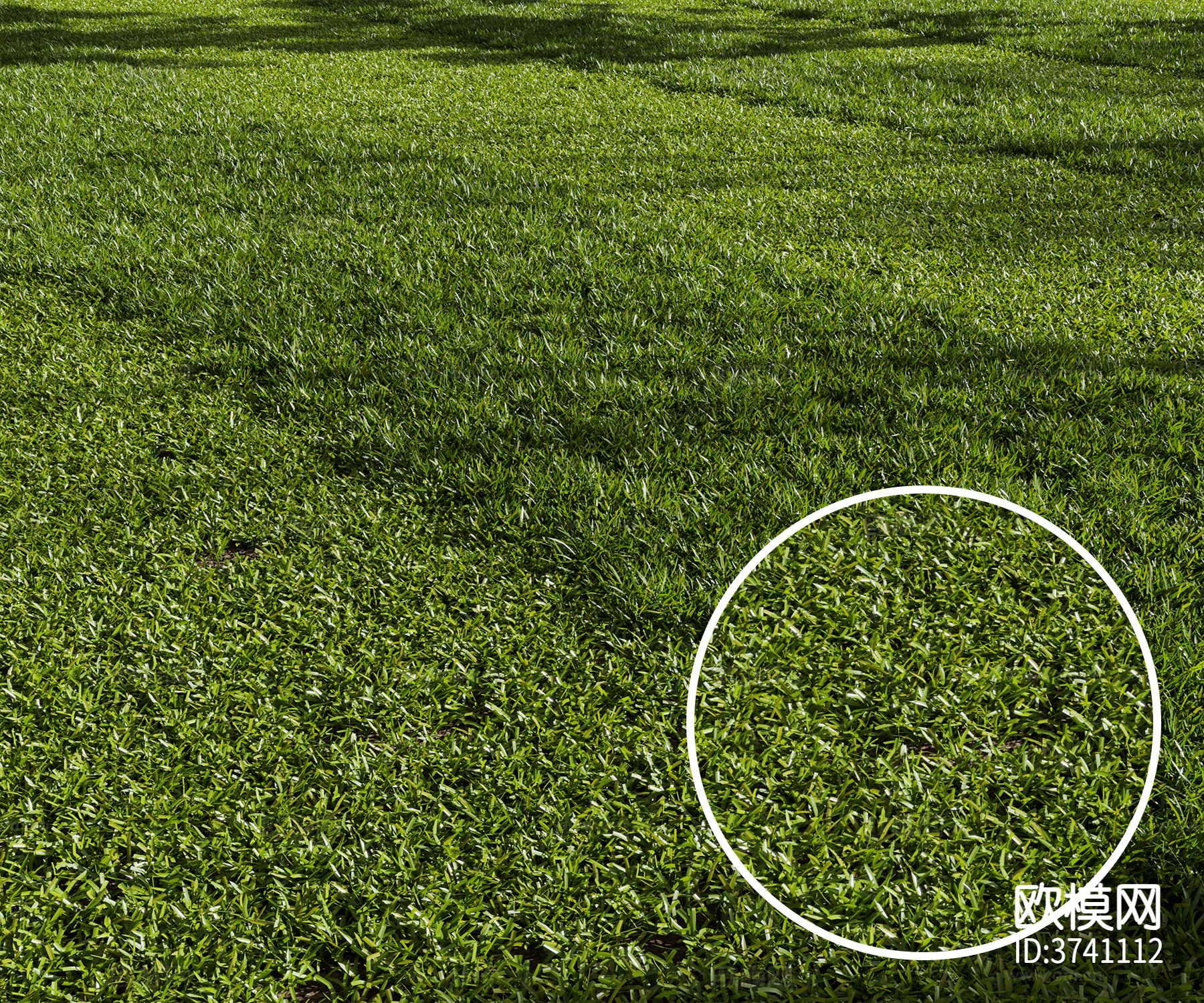 草地材质下载