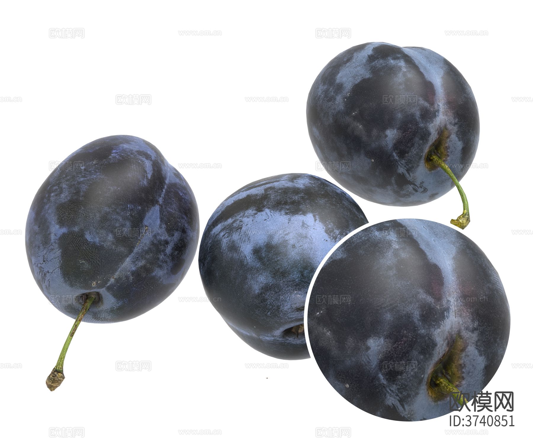 黑布林李子材质下载