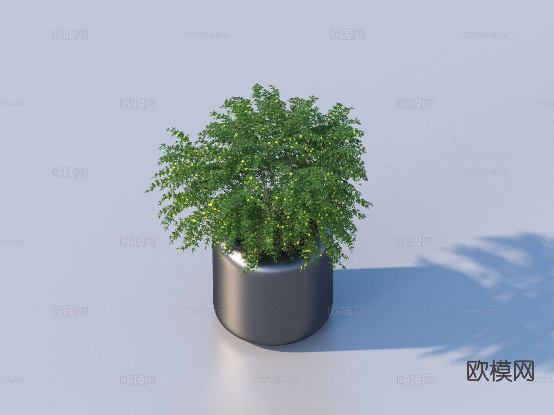 花盆 盆栽 植物3d模型