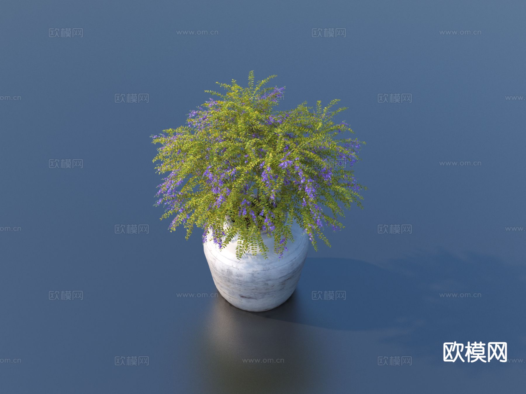 花盆 盆栽 绿植 植物3d模型