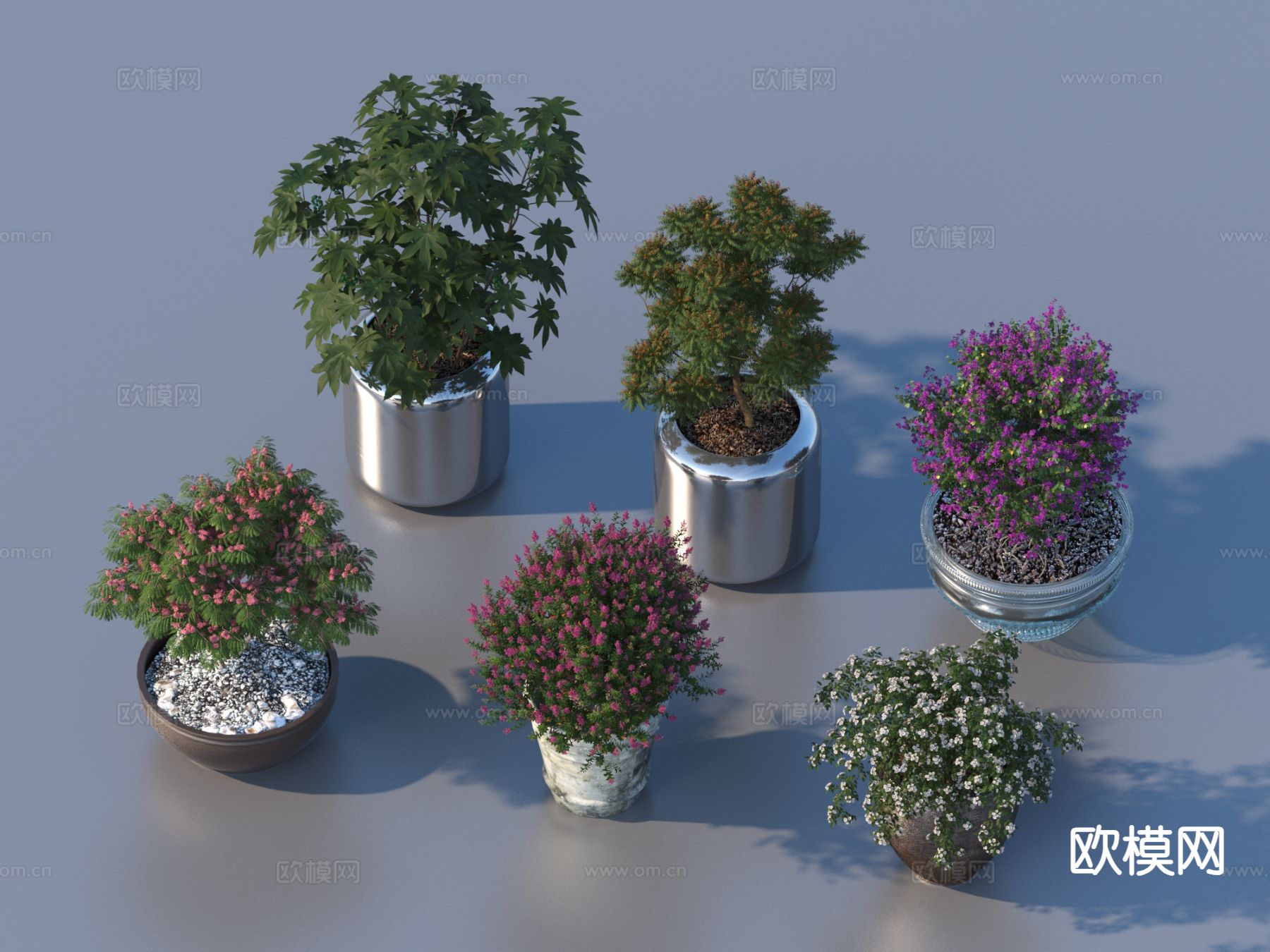 花盆 盆栽 绿植 植物3d模型