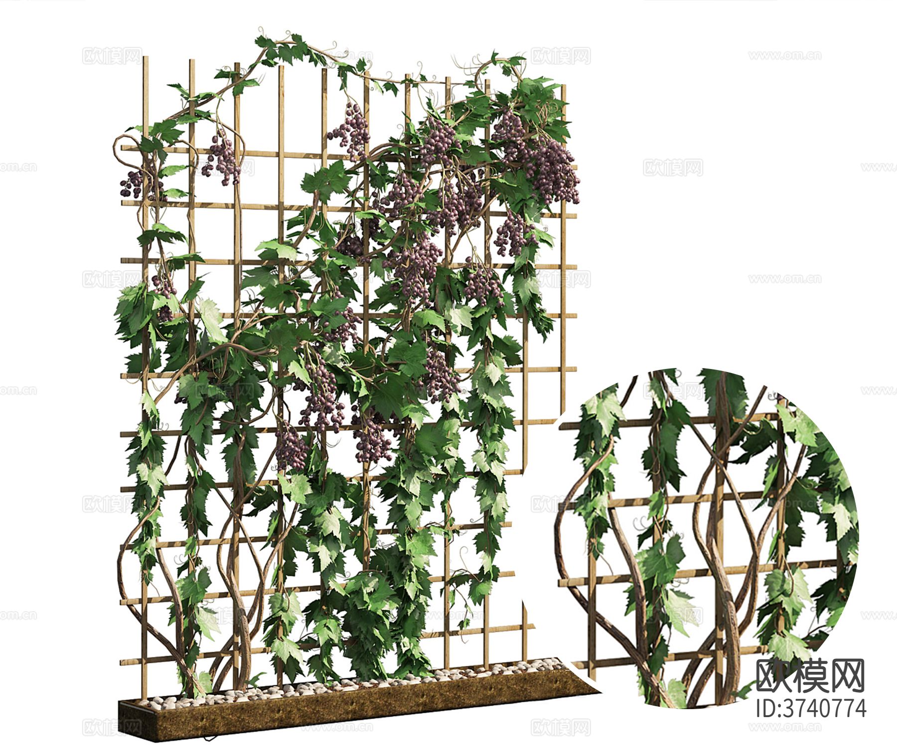 葡萄藤曼材质下载