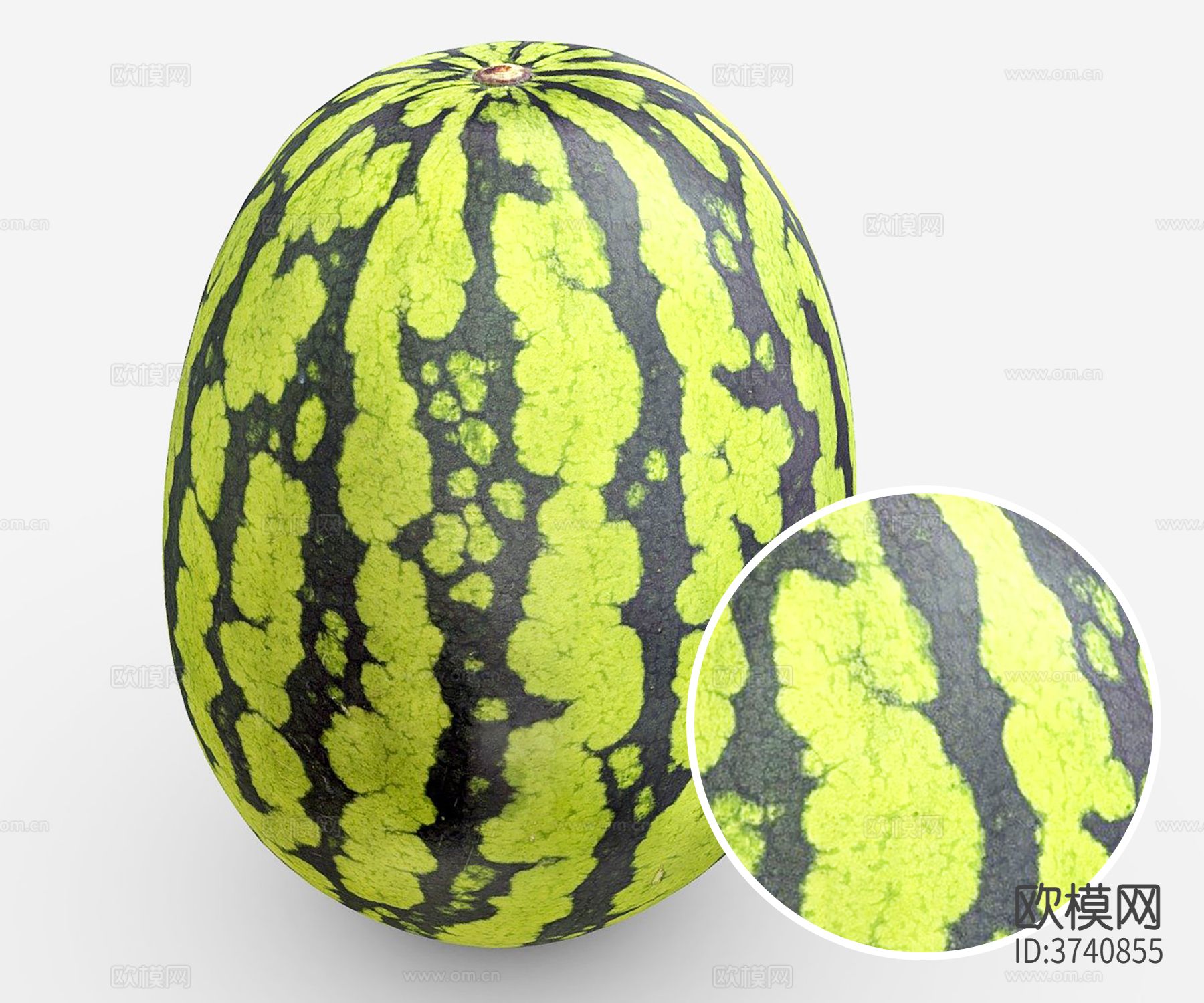 西瓜材质下载