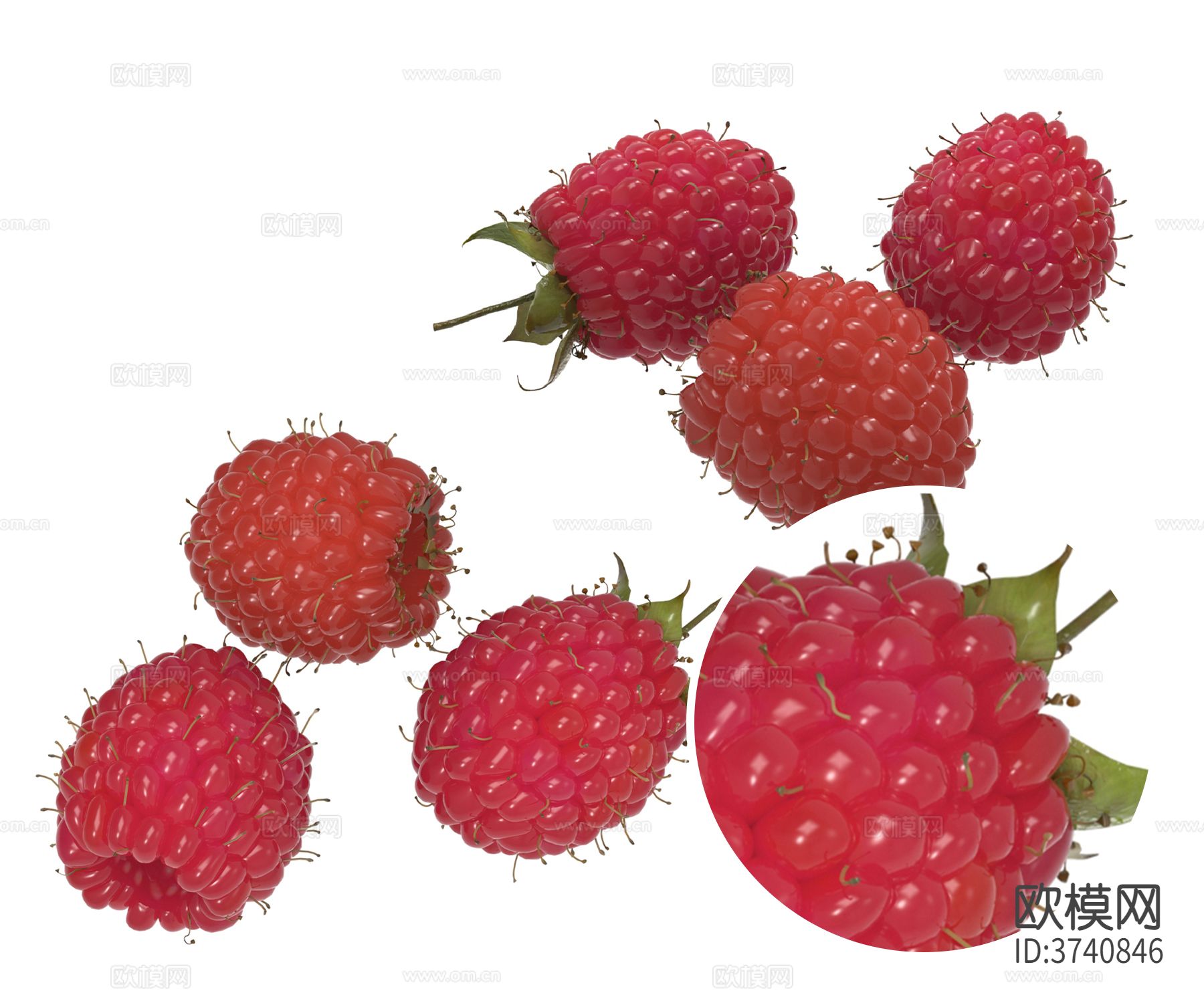 红树莓材质下载