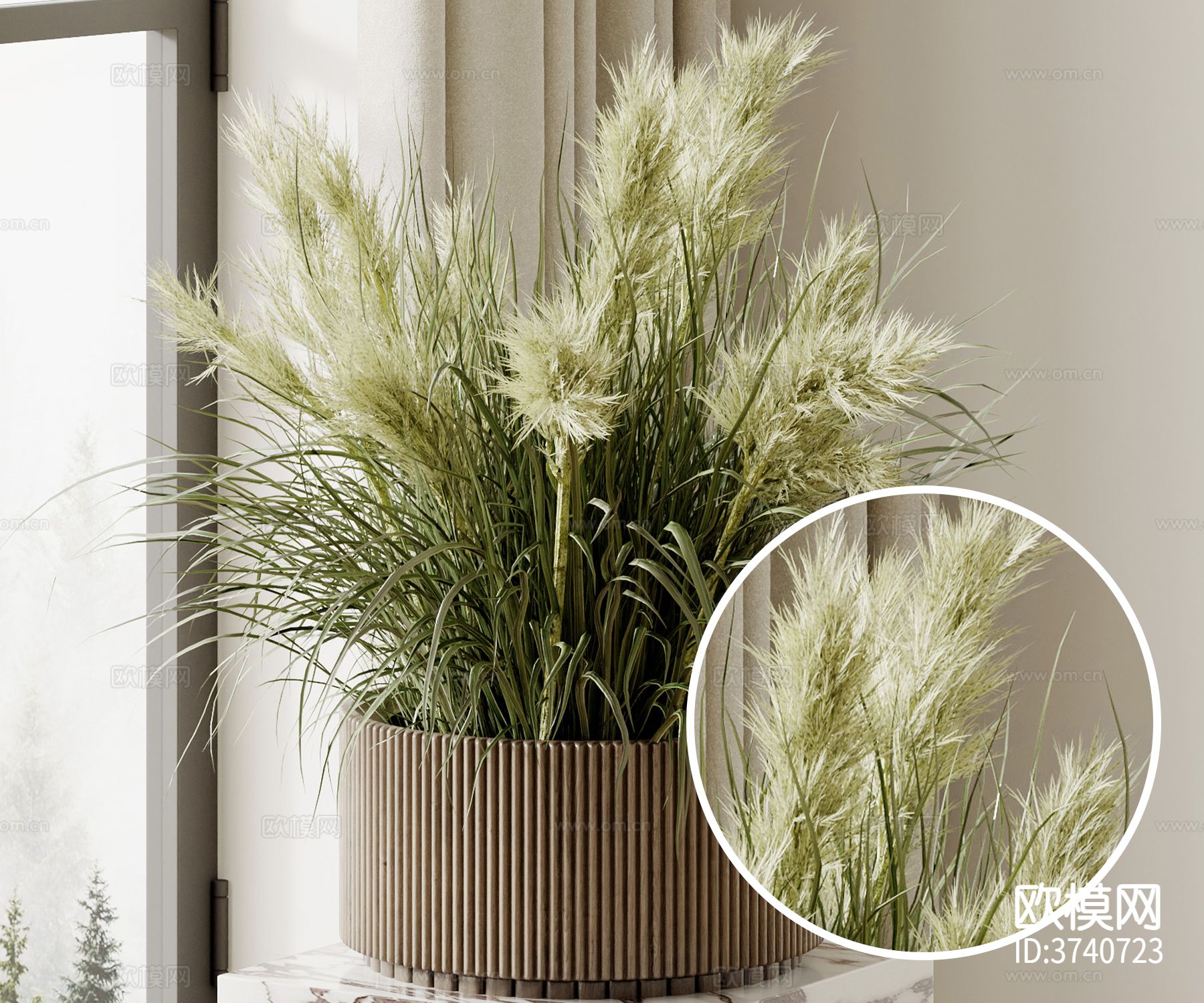 狗尾巴草盆栽材质下载