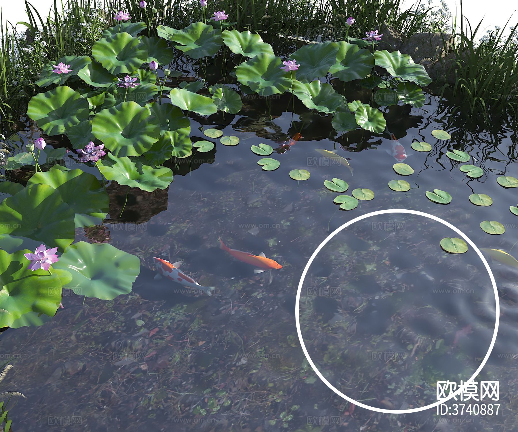 池塘水材质下载