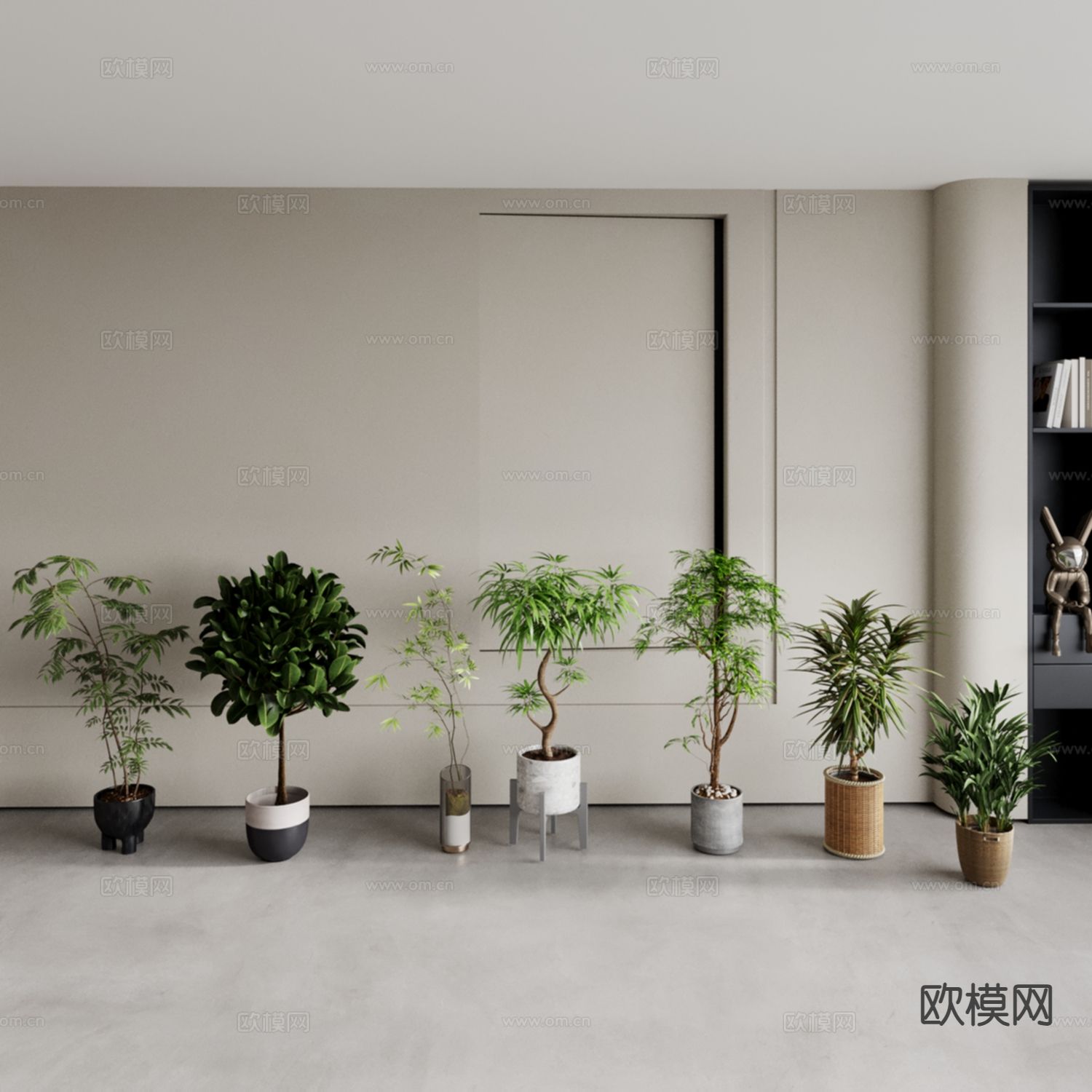 植物盆栽 发财树 橡皮树 夹竹桃3d模型