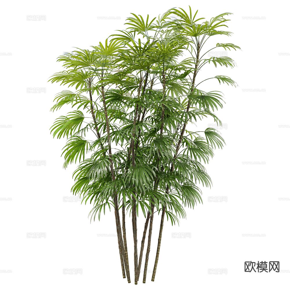 现代大树 景观树 灌木植物3d模型