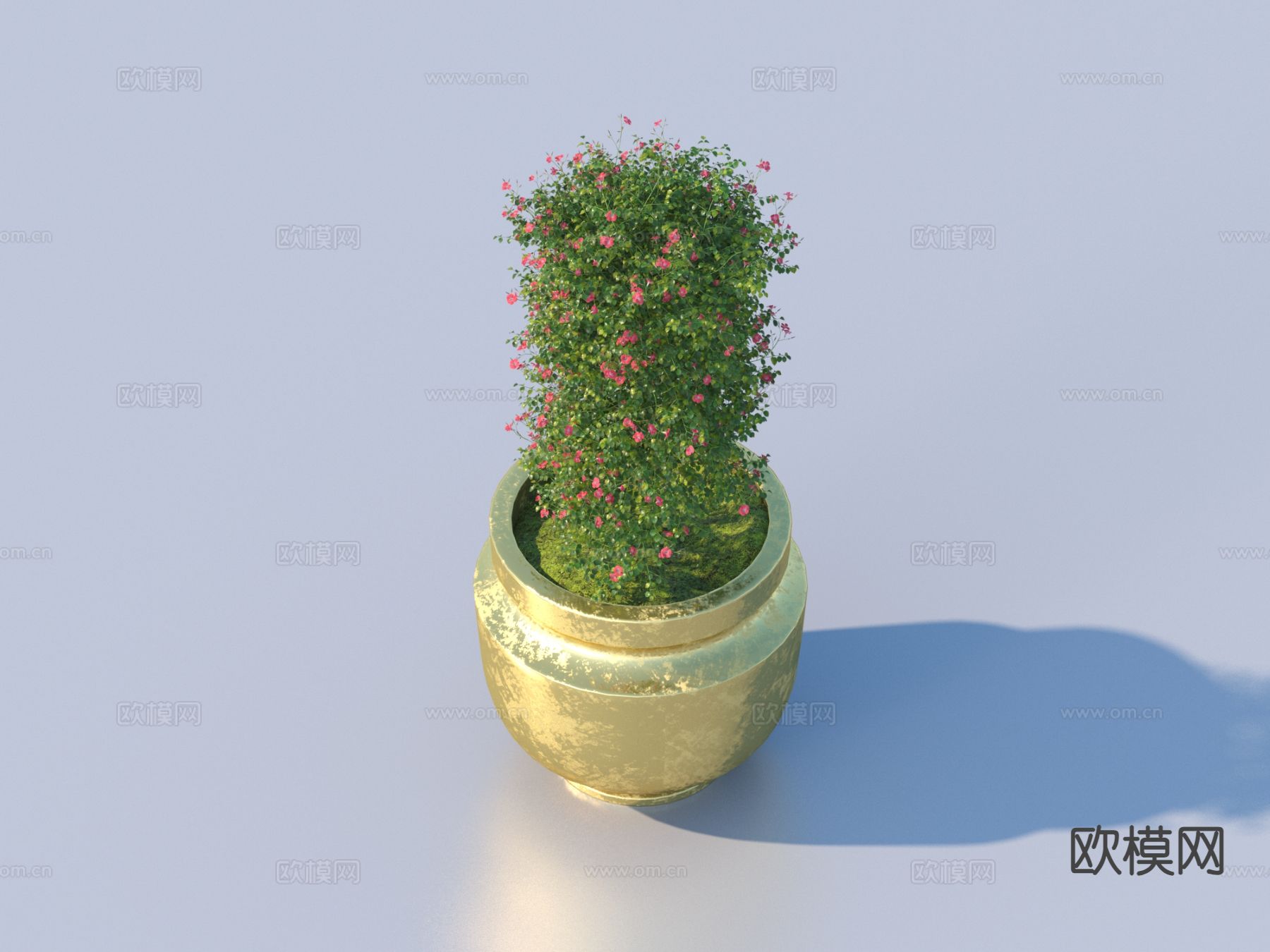 花盆 盆栽 绿植 植物3d模型