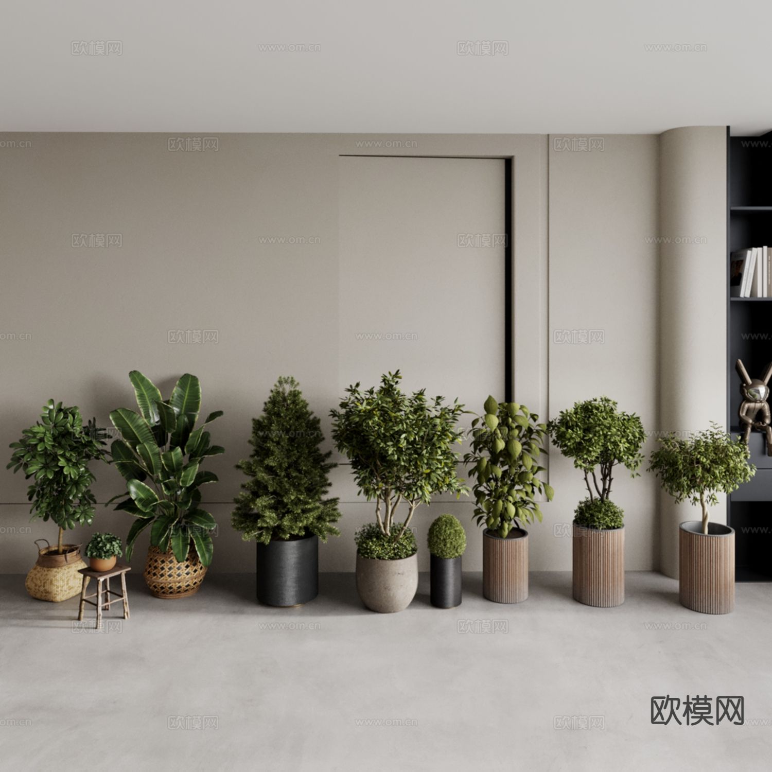 植物盆景 鹤望兰 菜豆树3d模型