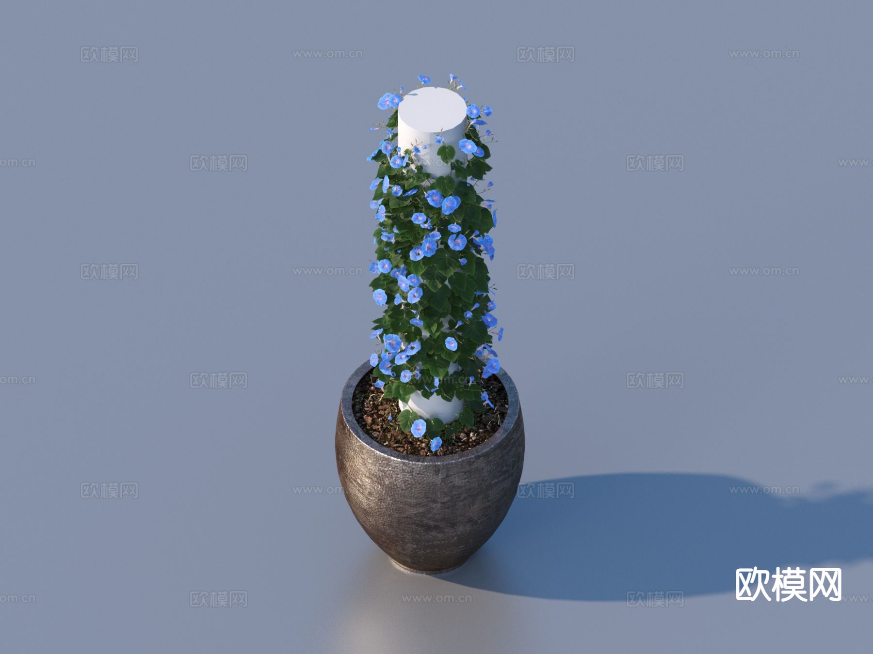 花盆 盆栽 绿植 植物3d模型