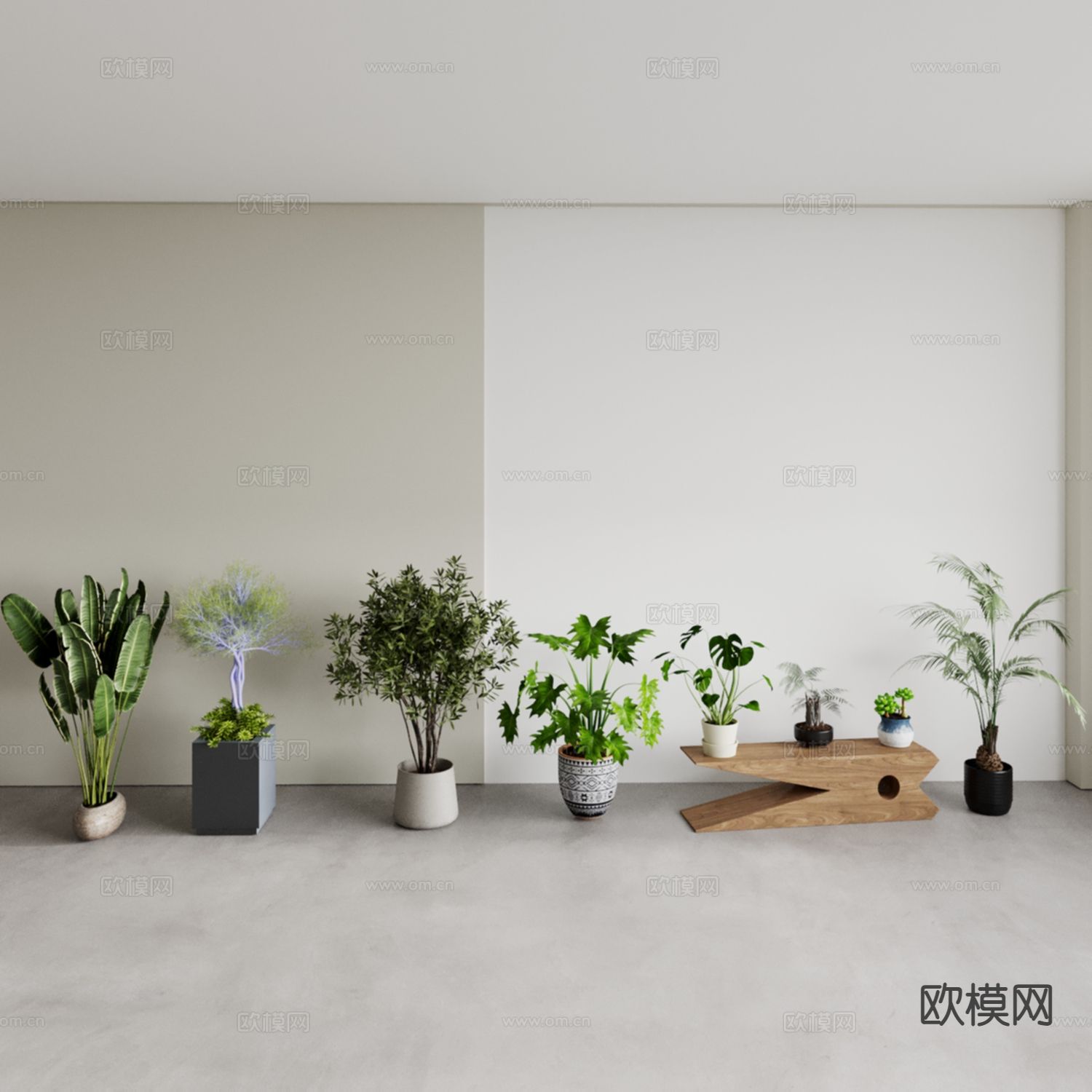 植物盆栽 芭蕉树 茉莉 无花果树3d模型