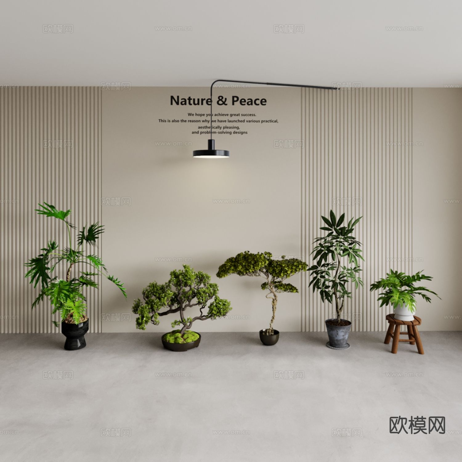 植物盆景 龟背竹 鸭脚木3d模型下载