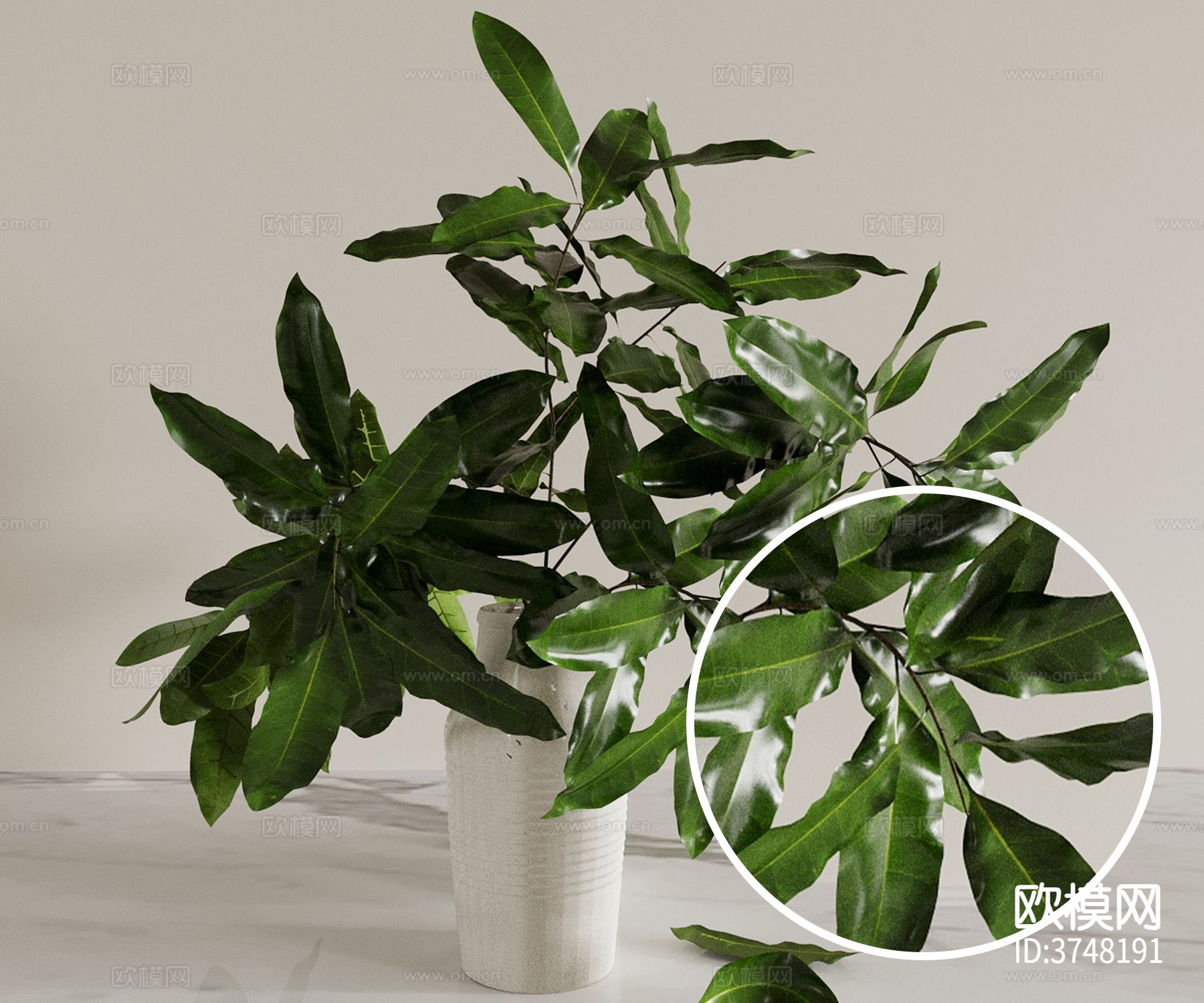 植物盆栽材质下载