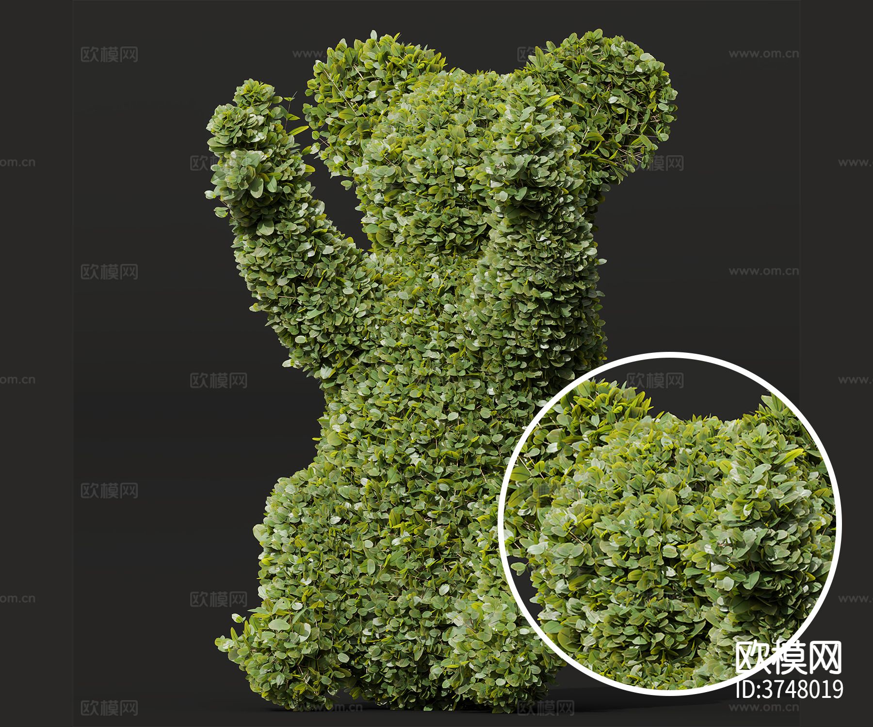 造型灌木材质下载