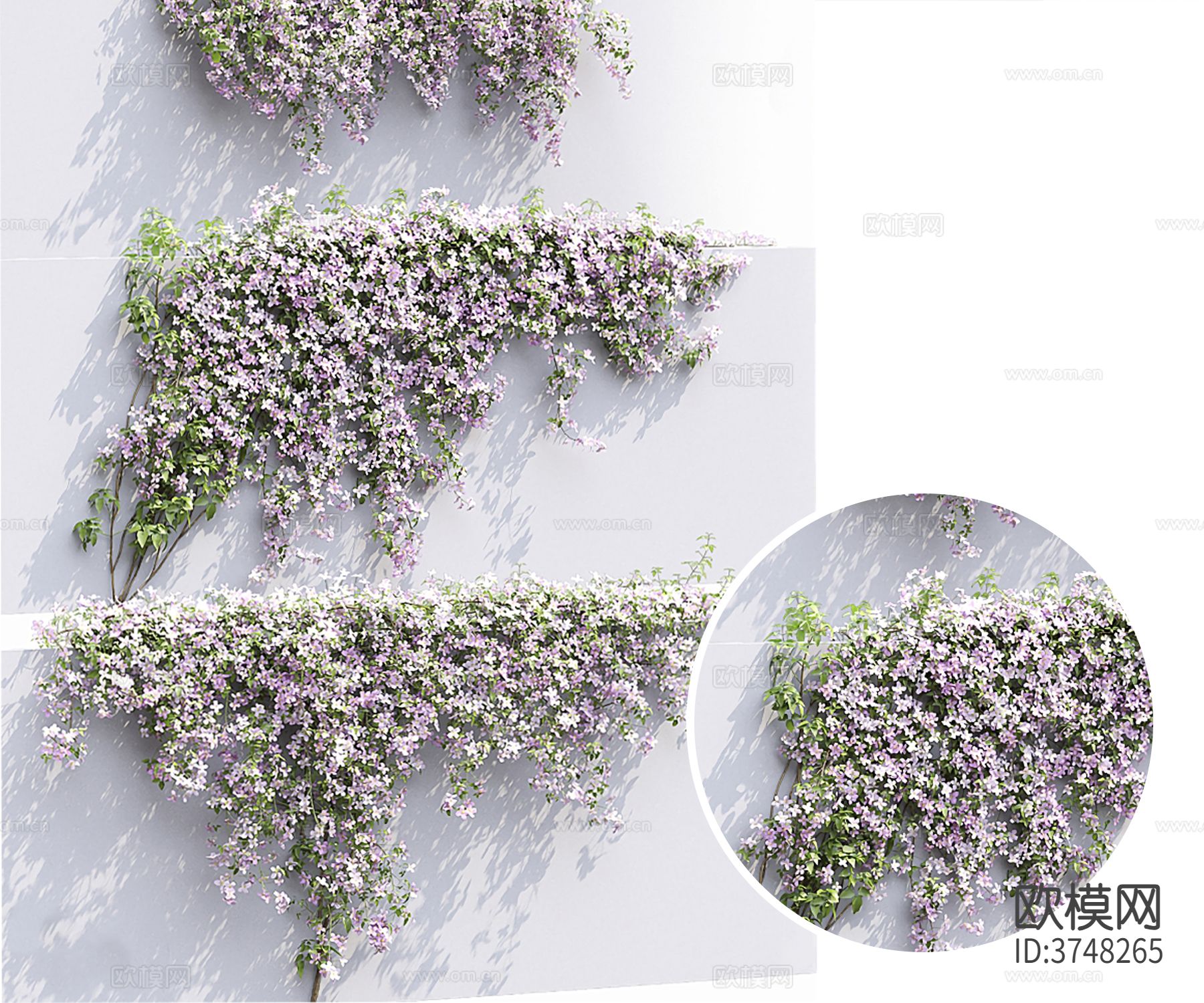 凤眼蓝藤曼材质下载