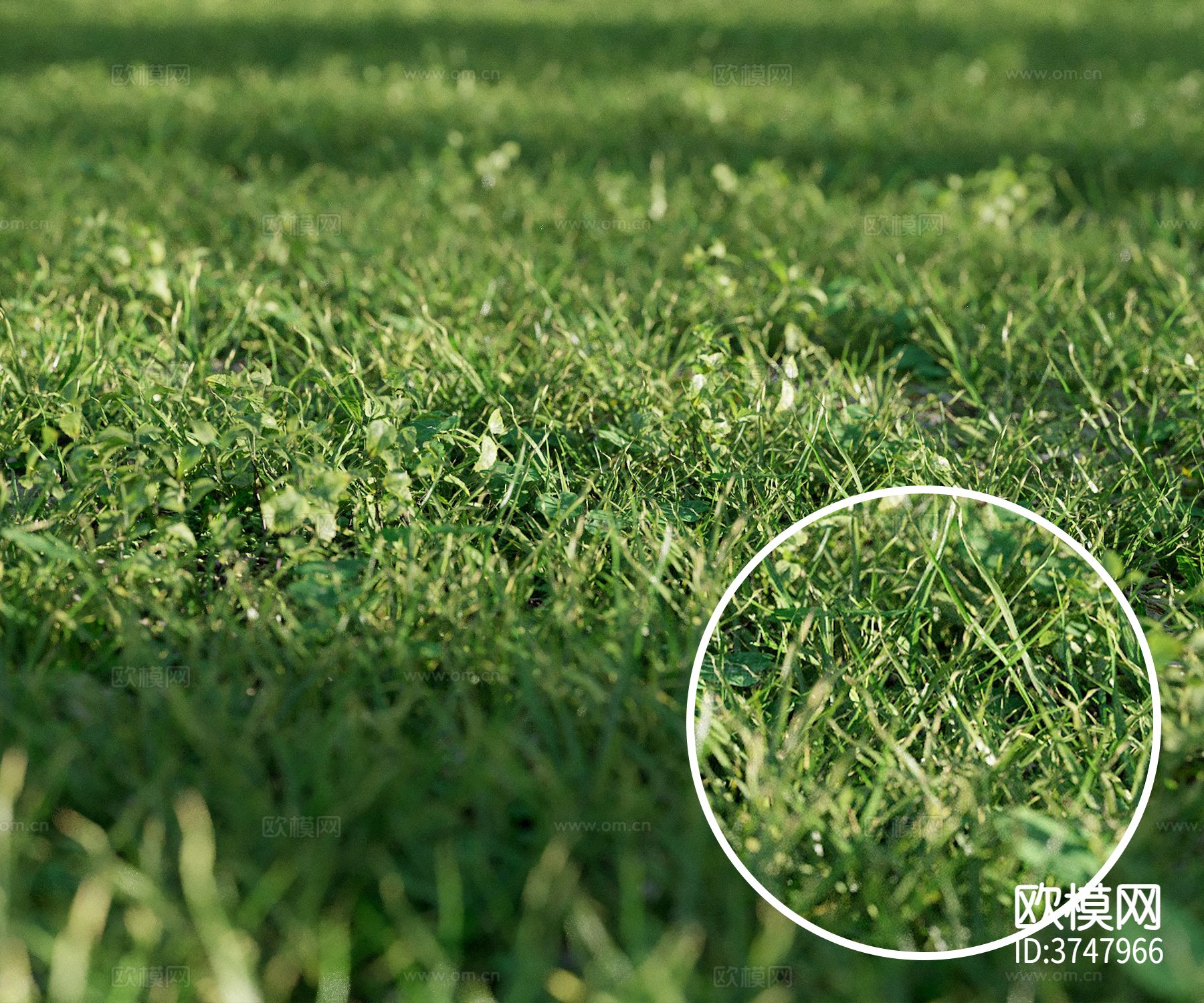 草 草地材质下载