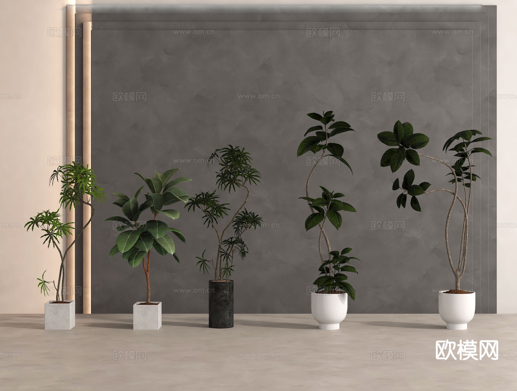 绿植 盆栽 盆景 植物3d模型