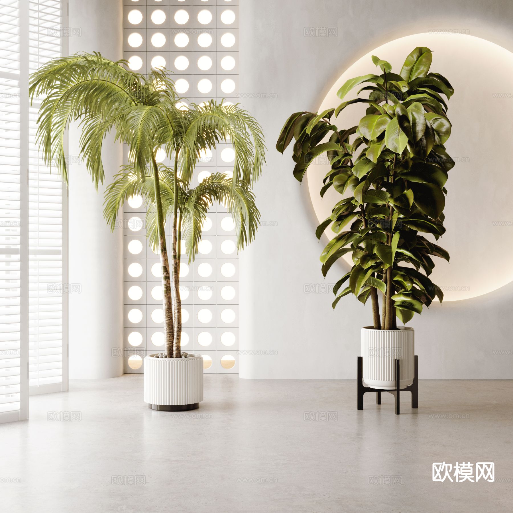 植物盆栽 花盆 绿植3d模型