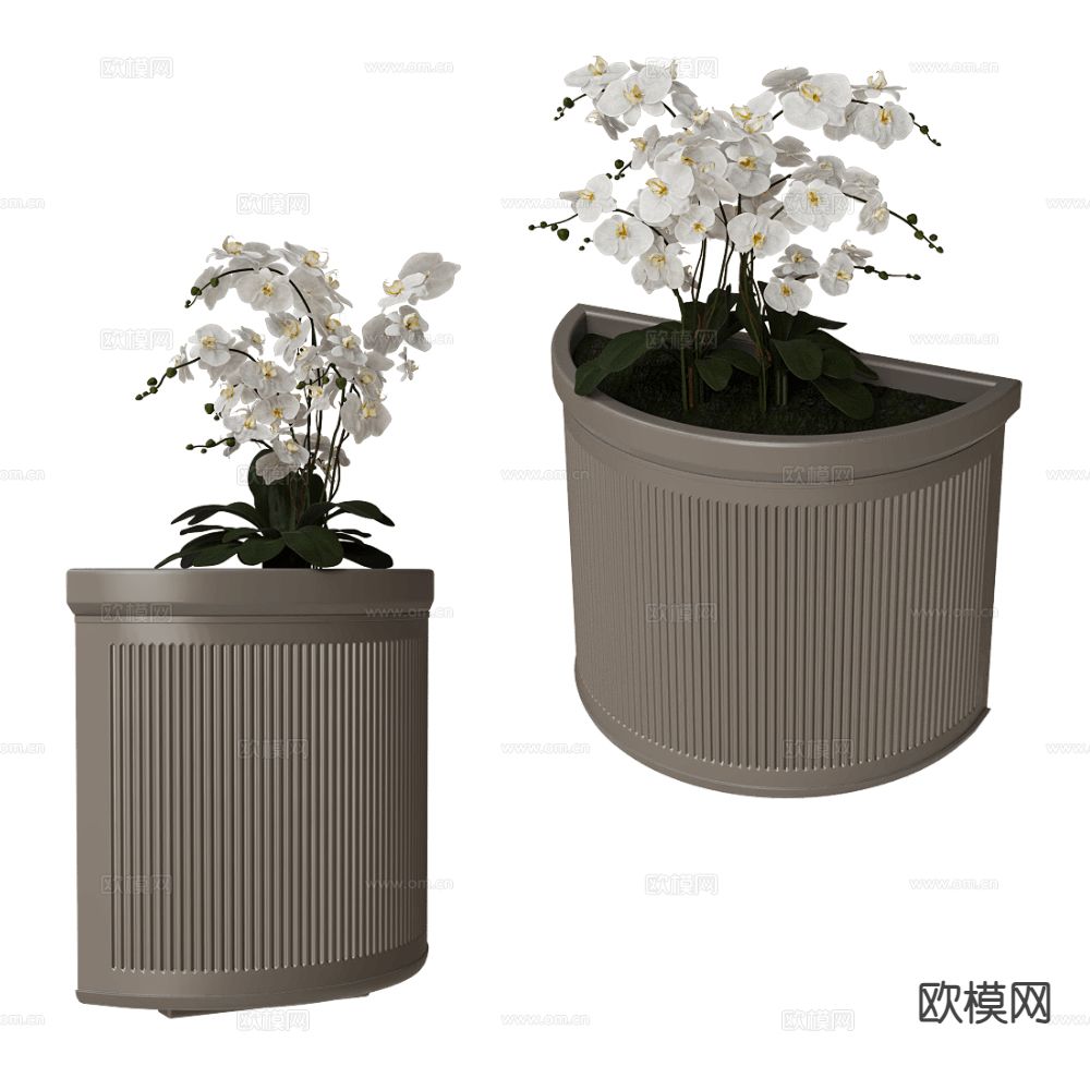 现代蝴蝶兰 花箱 花槽3d模型