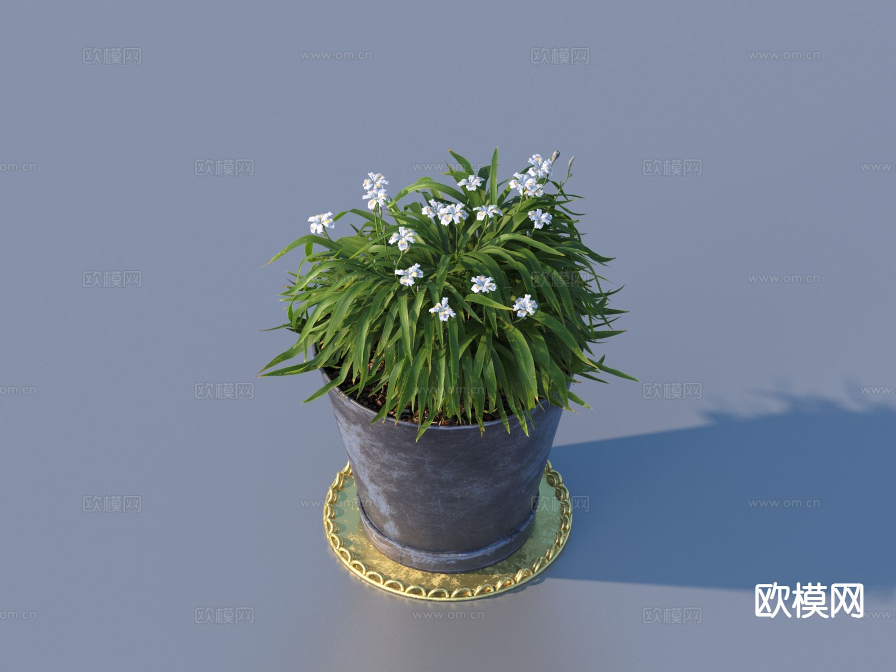 花盆 盆景 绿植 植物3d模型