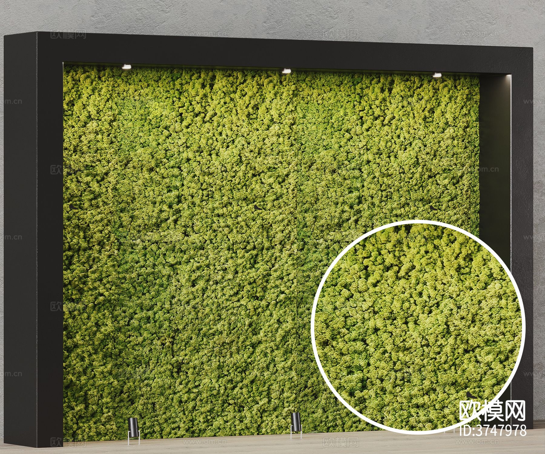 草 植物墙材质下载