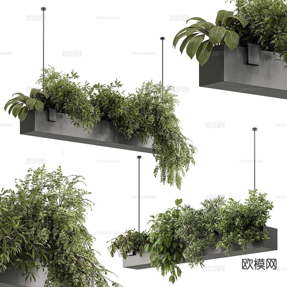 现代吊篮 绿植 吊挂植物3d模型