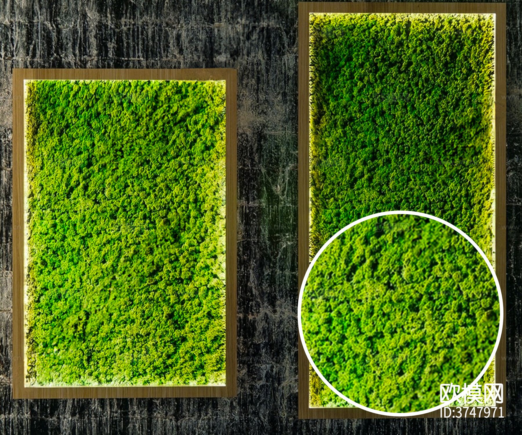 草 植物墙材质下载