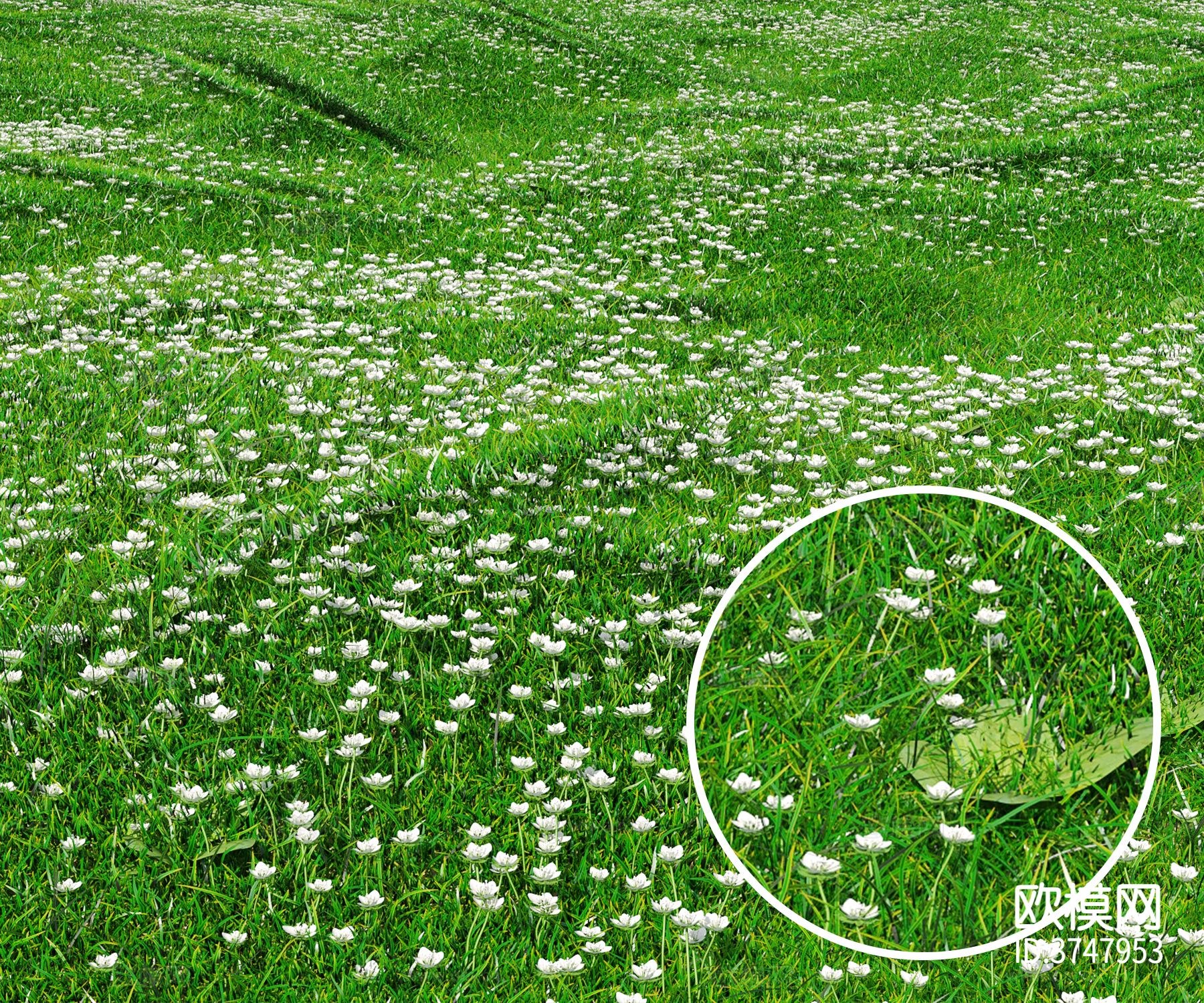 草 草地材质下载