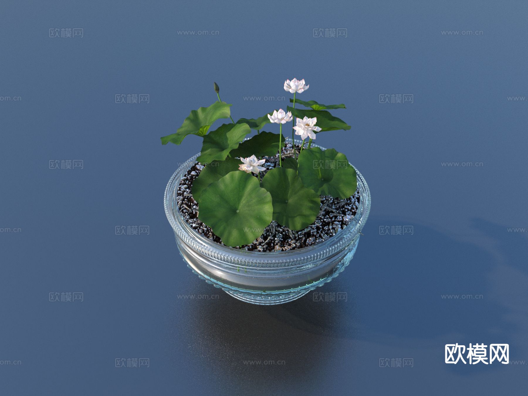 花盆 盆景 绿植 植物3d模型