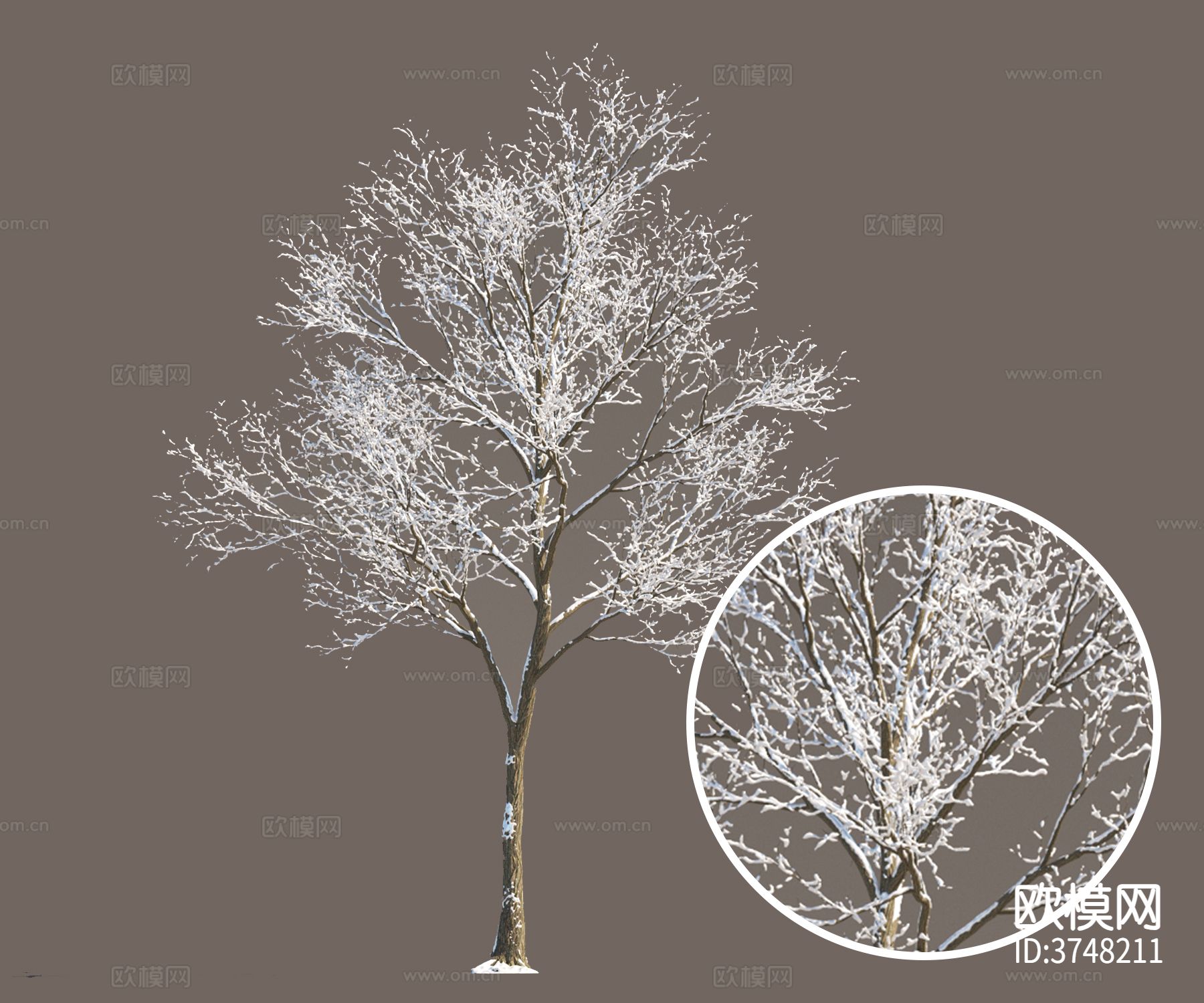 树 行道树材质下载