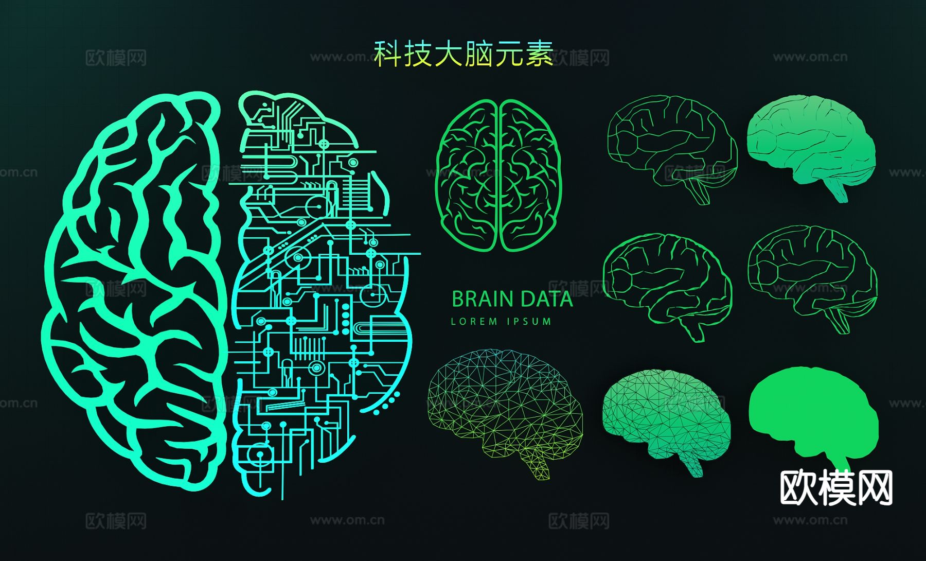 科技智能大脑墙饰 仿生大脑3d模型