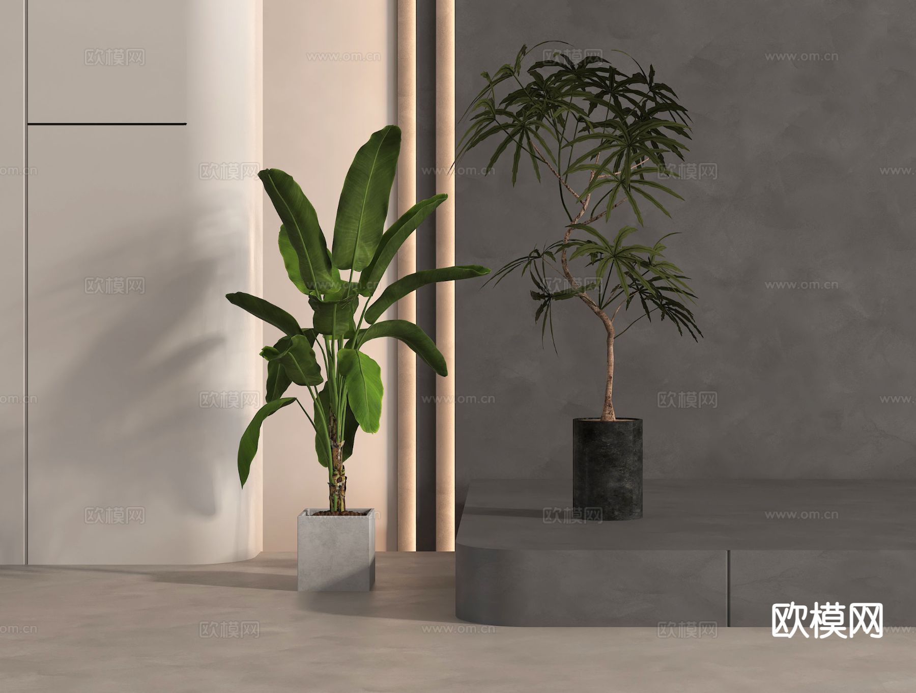 绿植 盆栽 盆景 植物3d模型