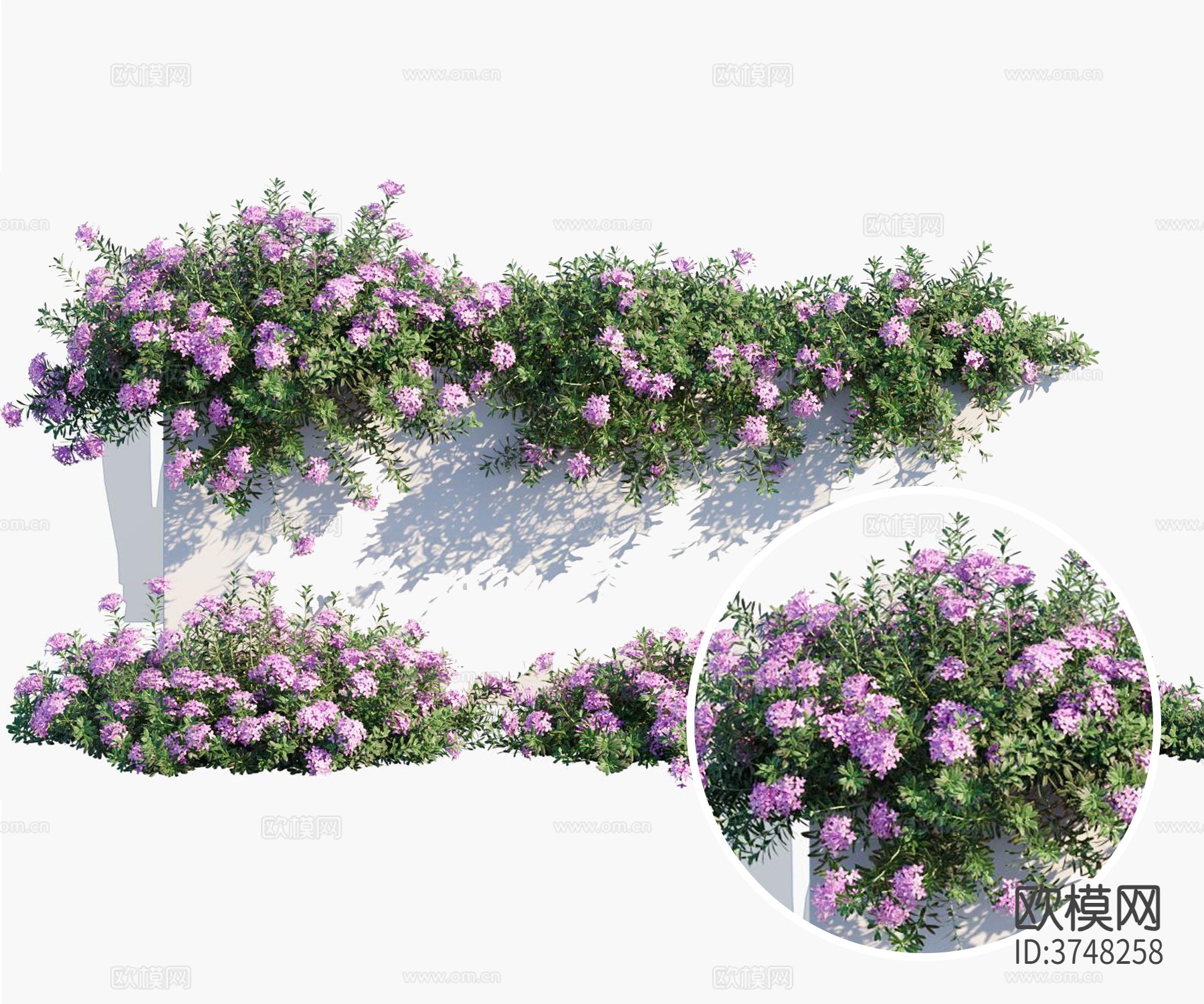 植物藤曼材质下载