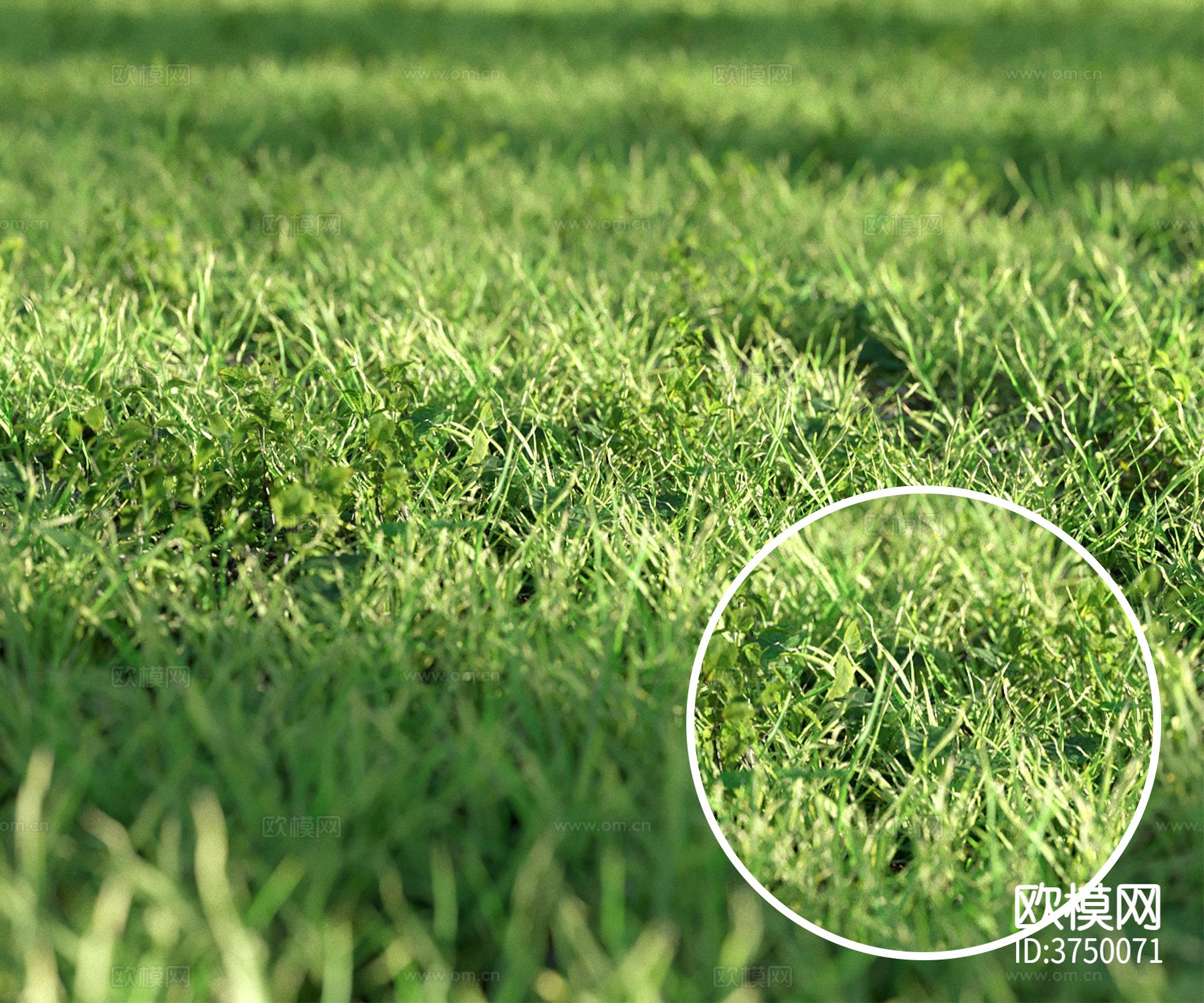 草地材质下载